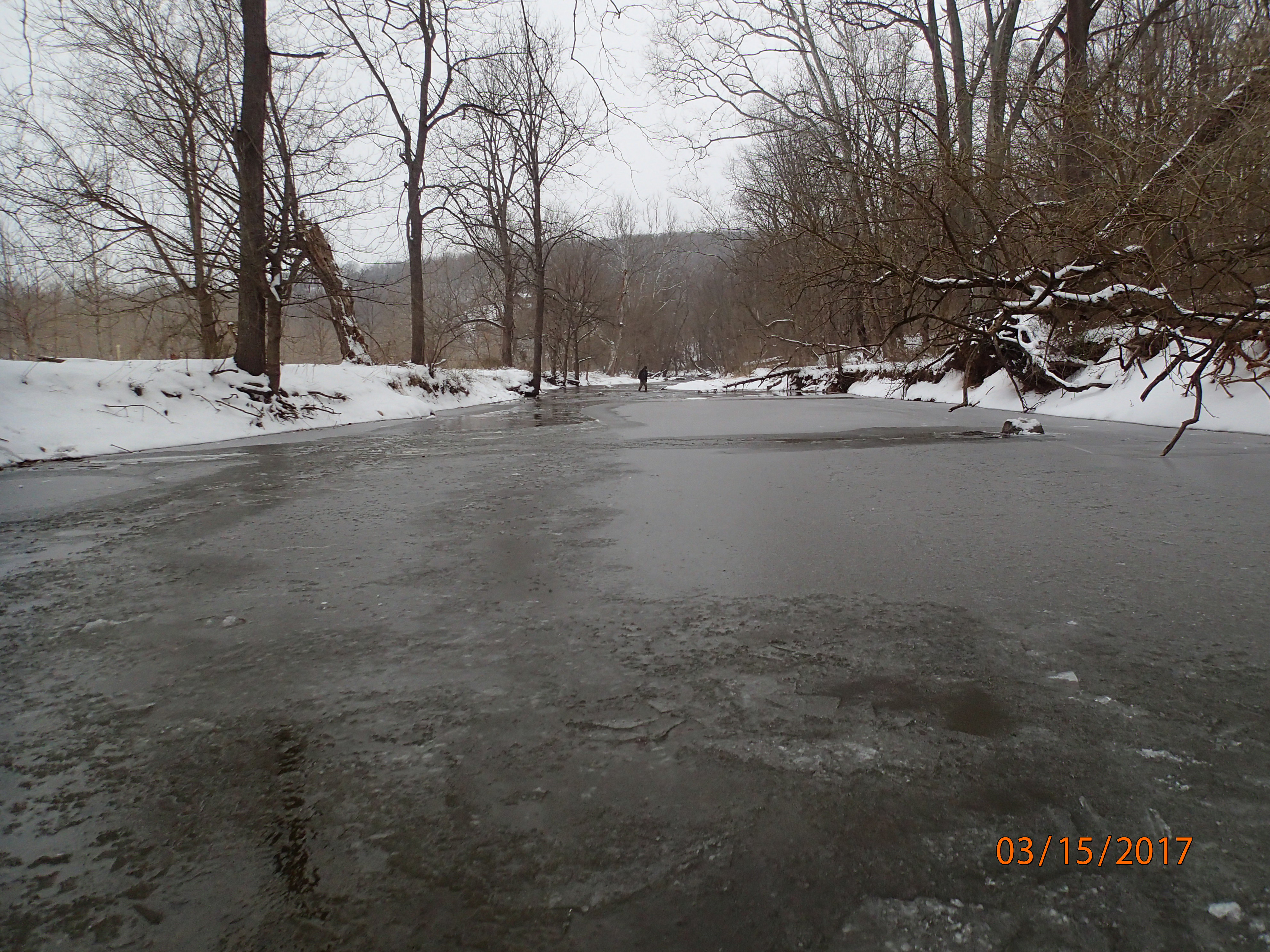 Field photo showing stream conditions at site CATO-301-R-2017-MidpointUpstream