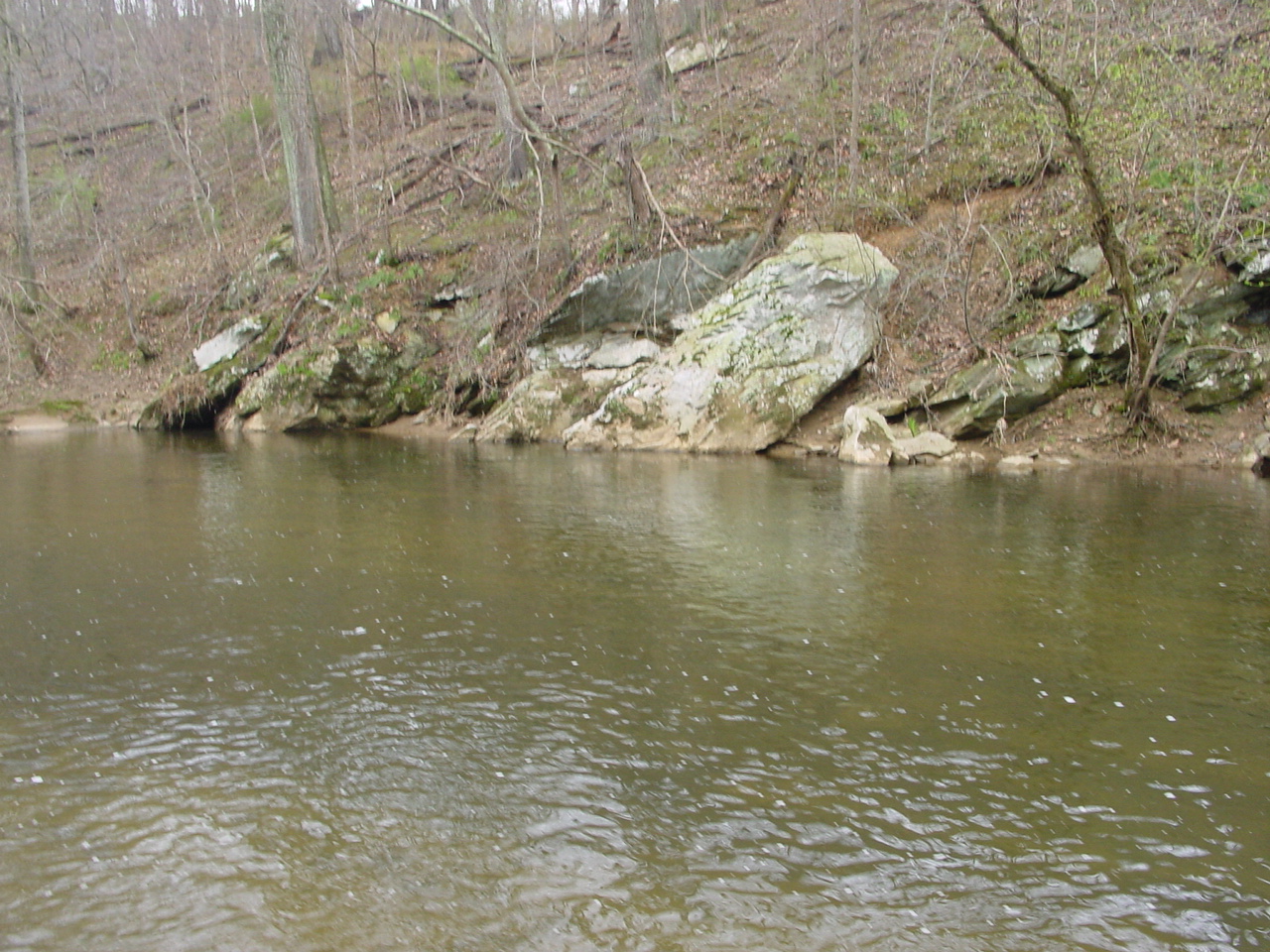 Field photo showing stream conditions at site CATO-407-R-2003-3