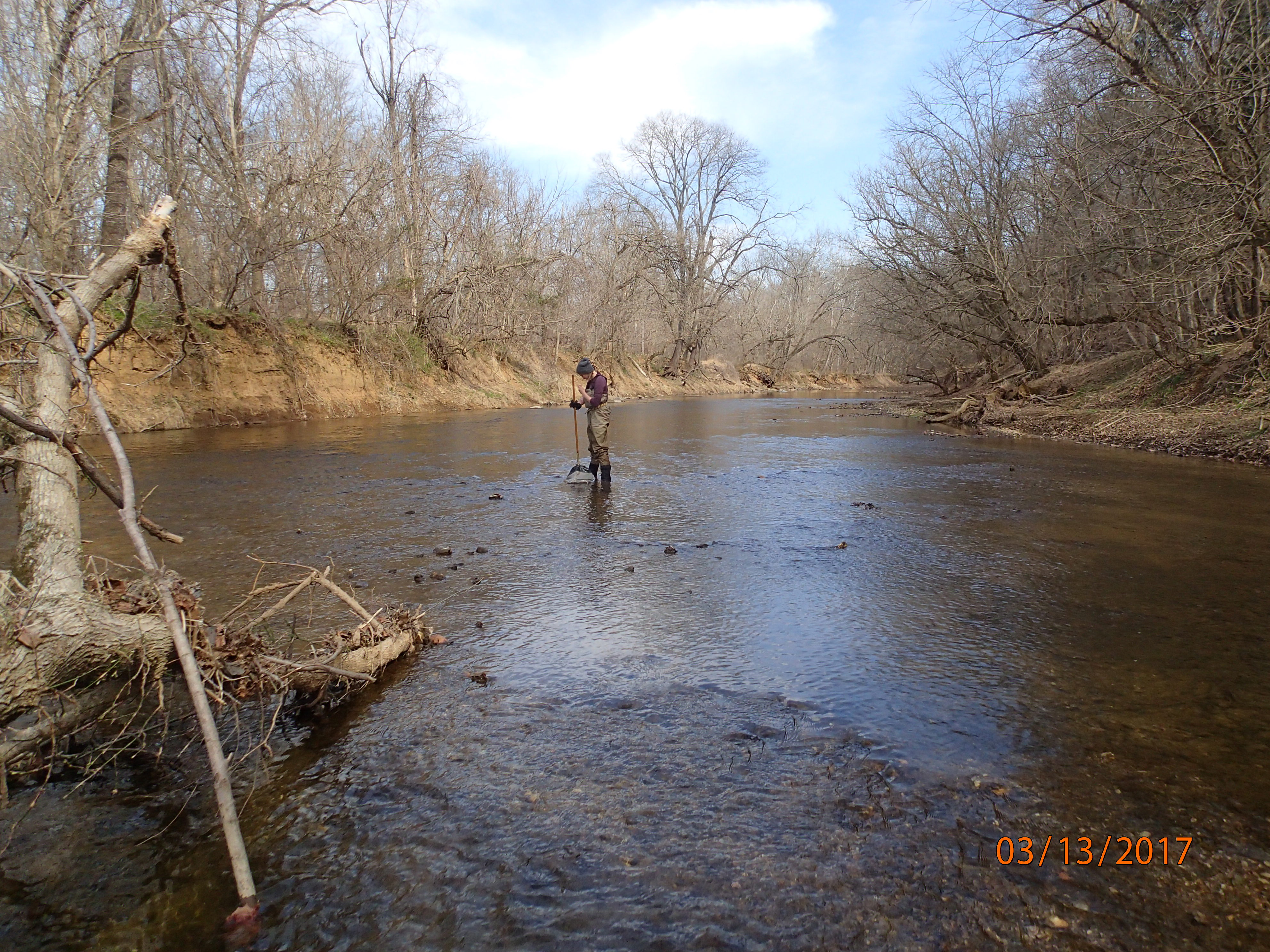 Field photo showing stream conditions at site CATO-407-R-2017-MidpointUpstream