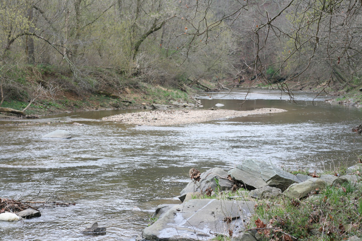 Field photo showing stream conditions at site CATO-408-R-2009-1