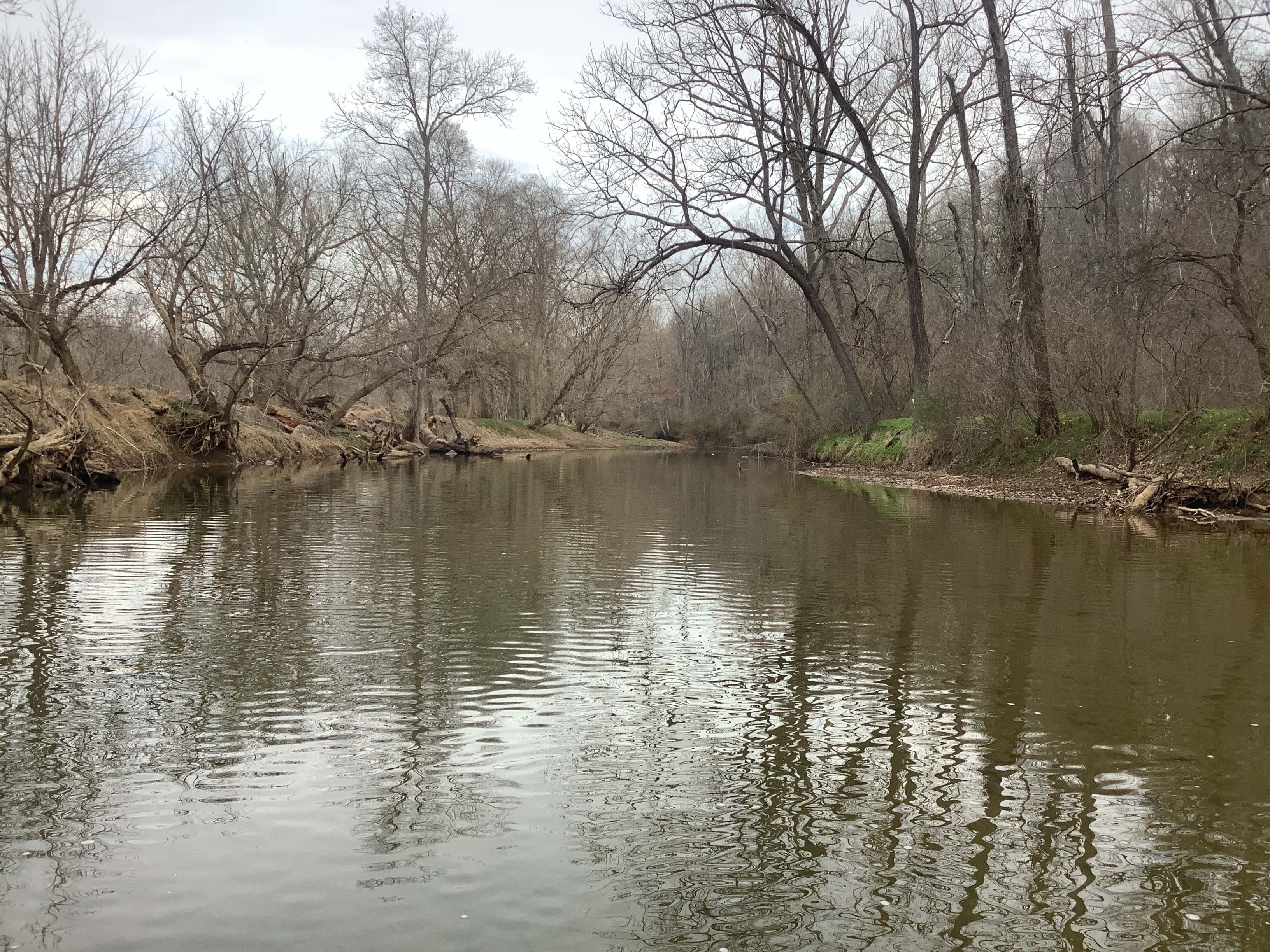 Field photo showing stream conditions at site CATO-520-R-2023_Midpoint_facing_upstream