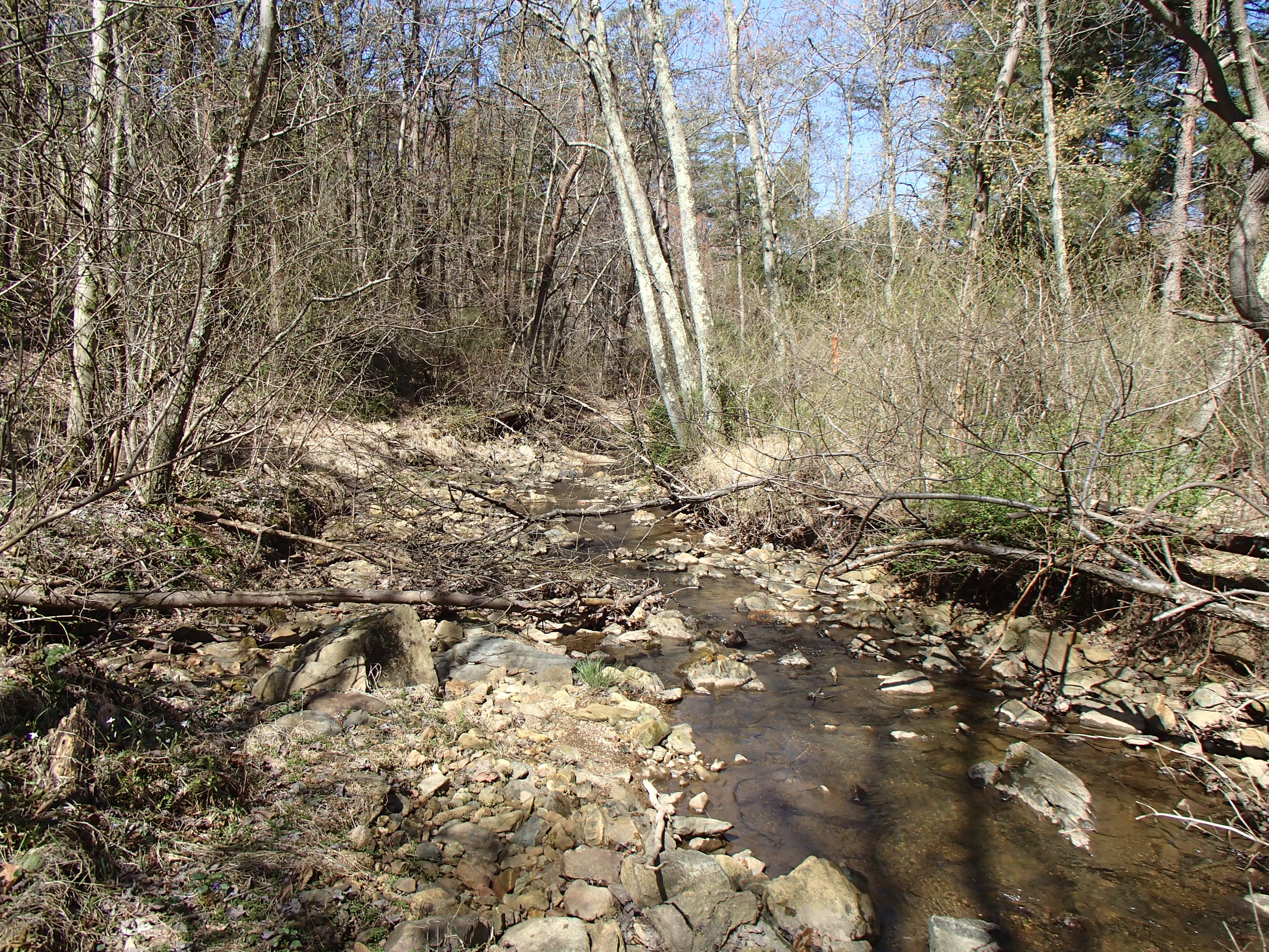 Field photo showing stream conditions at site CDAM-002-X-2015_Midpoint-looking-downstream