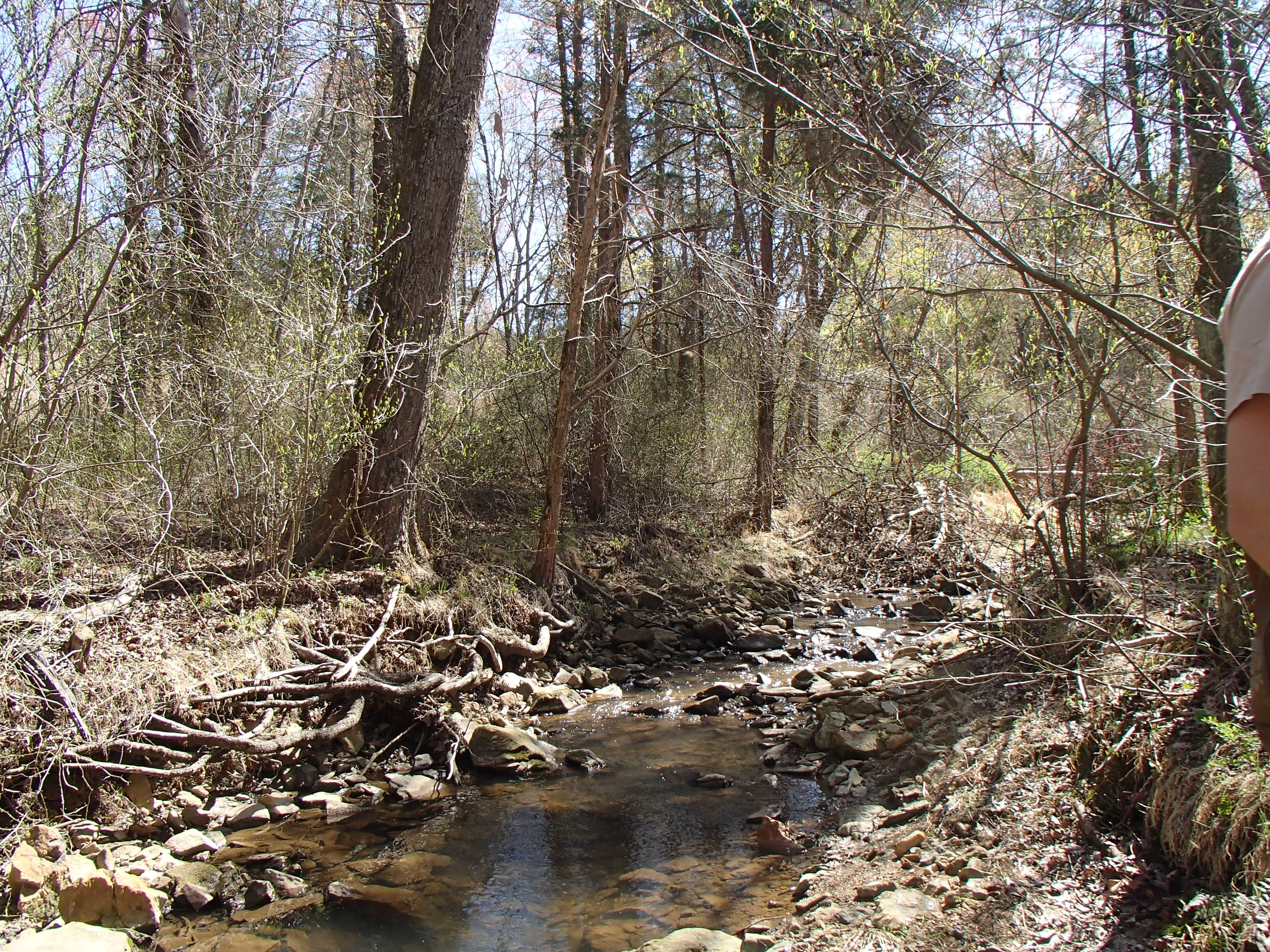 Field photo showing stream conditions at site CDAM-002-X-2015_Midpoint-looking-upstream