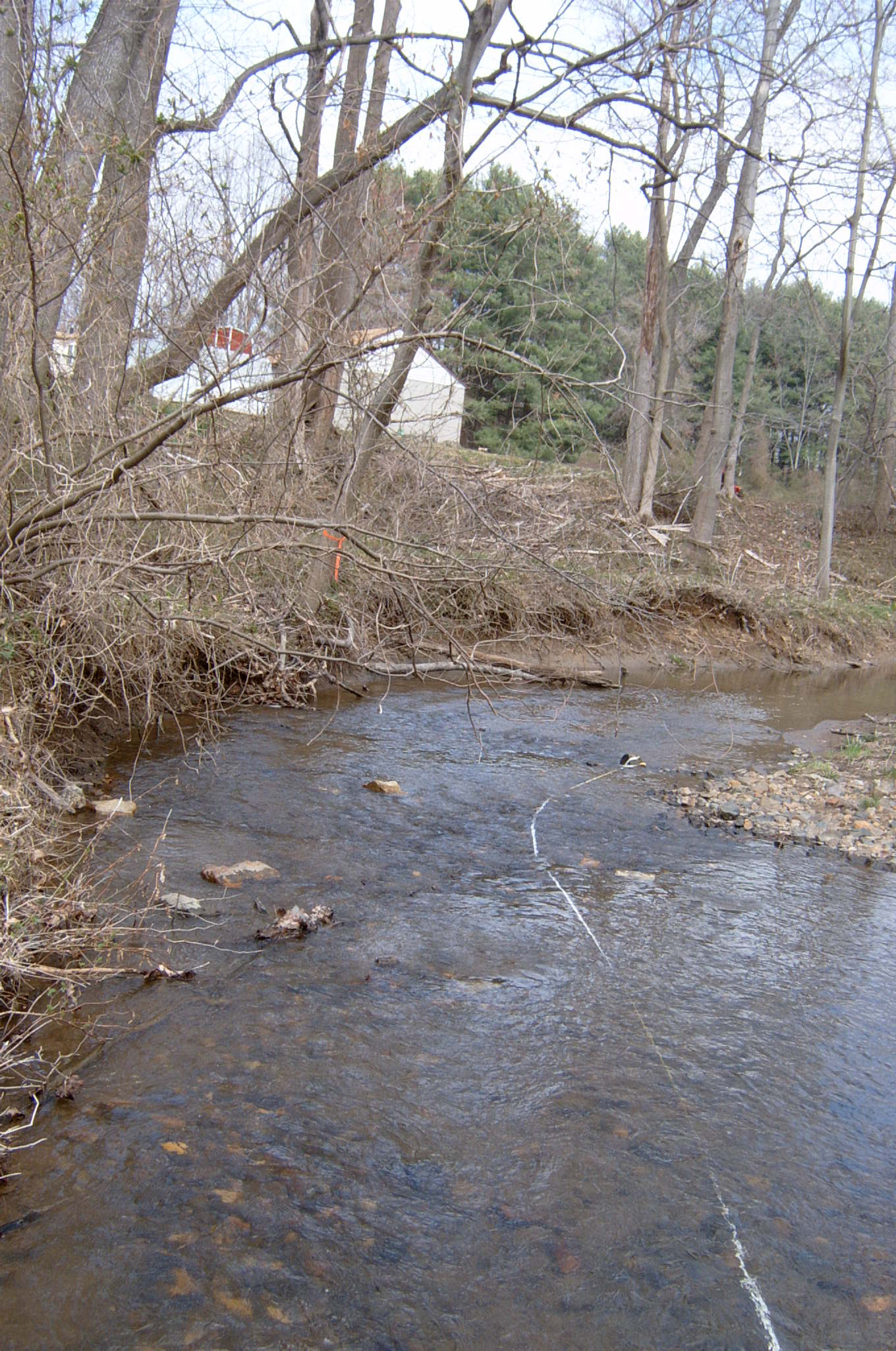 Field photo showing stream conditions at site CDAM-212-R-2004-66