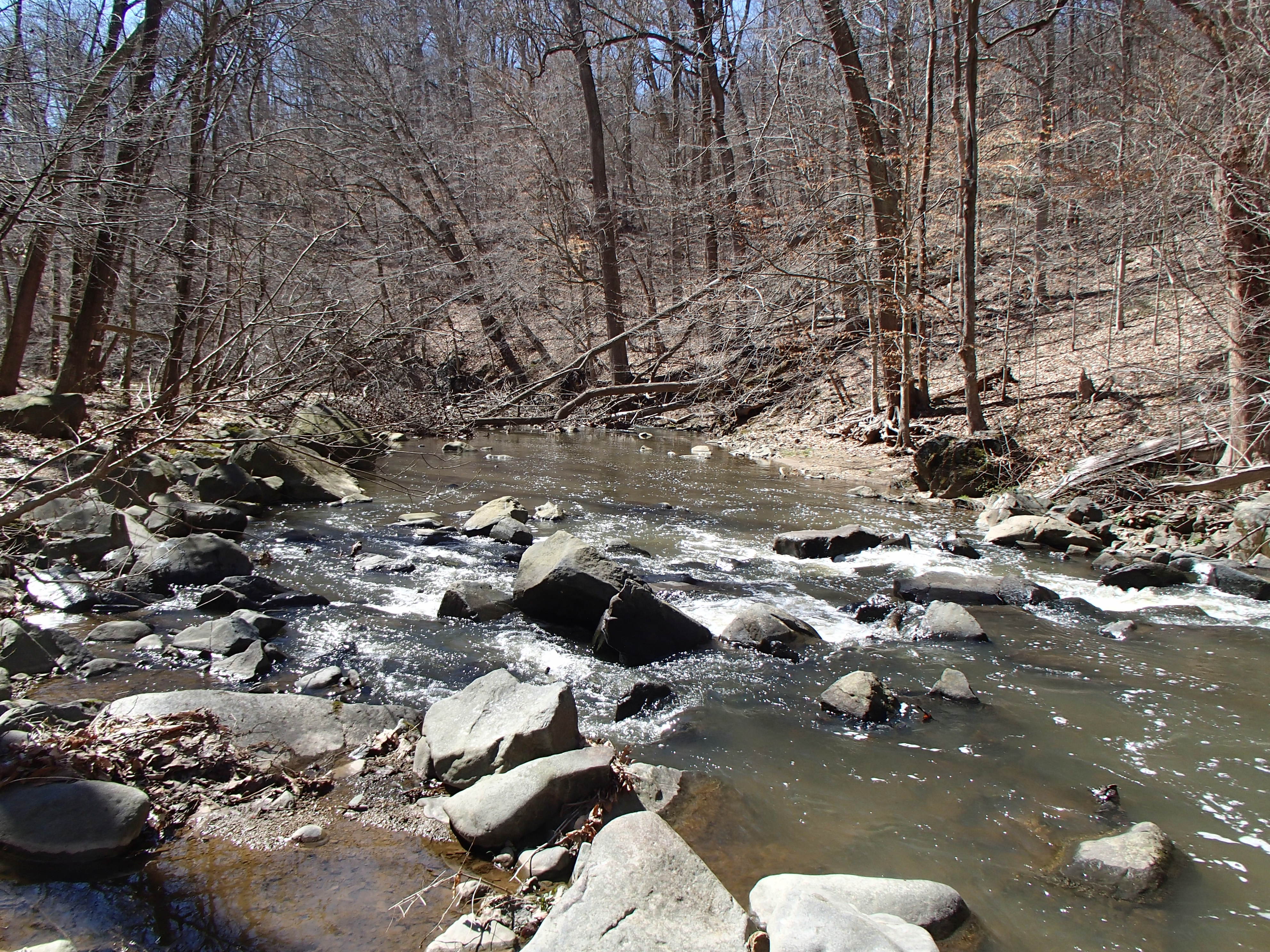 Field photo showing stream conditions at site CDAM-305-R-2017-LeftBraidMidpointFacingDownstream