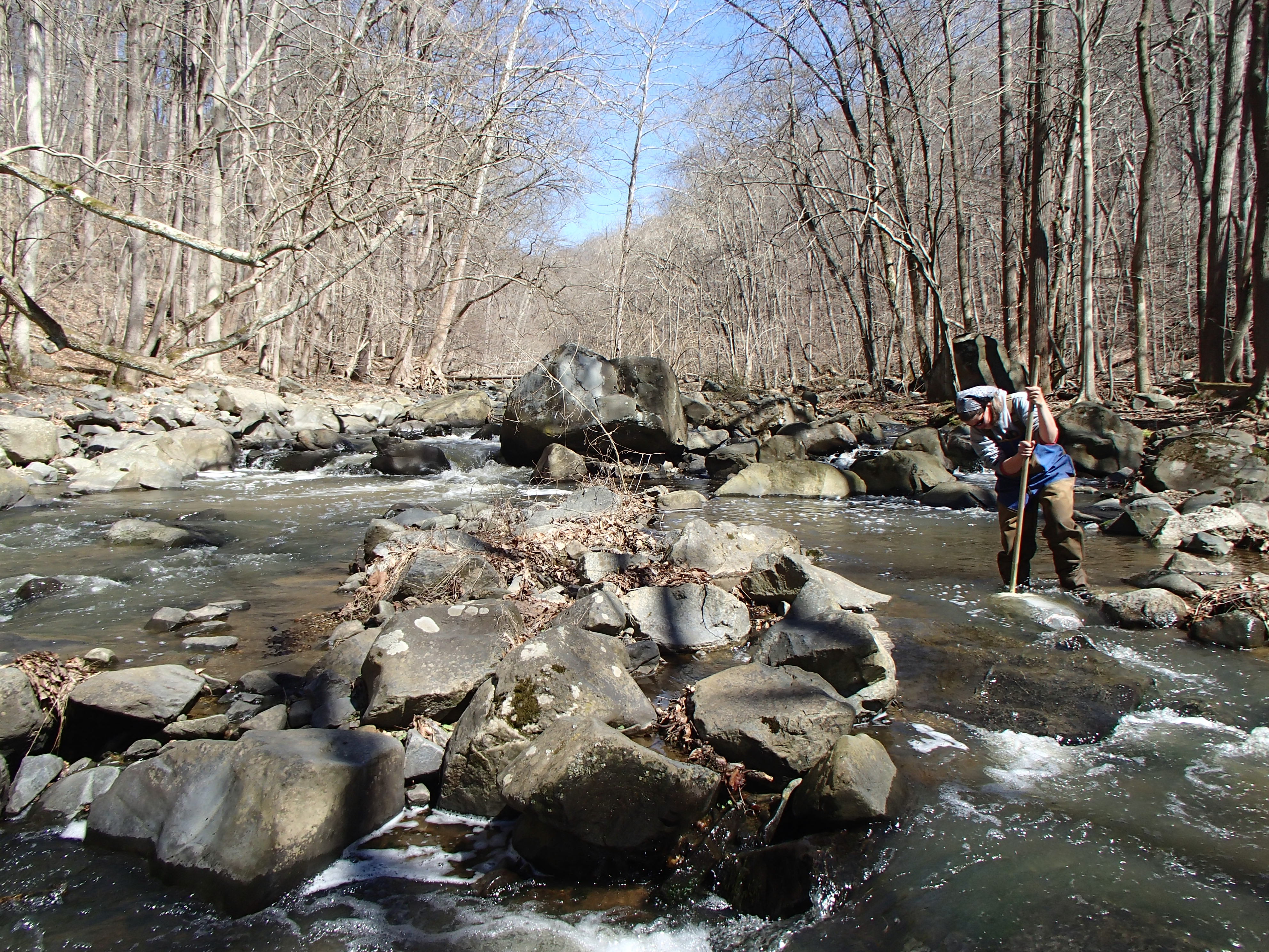 Field photo showing stream conditions at site CDAM-305-R-2017-LeftBraidMidpointFacingUpstream