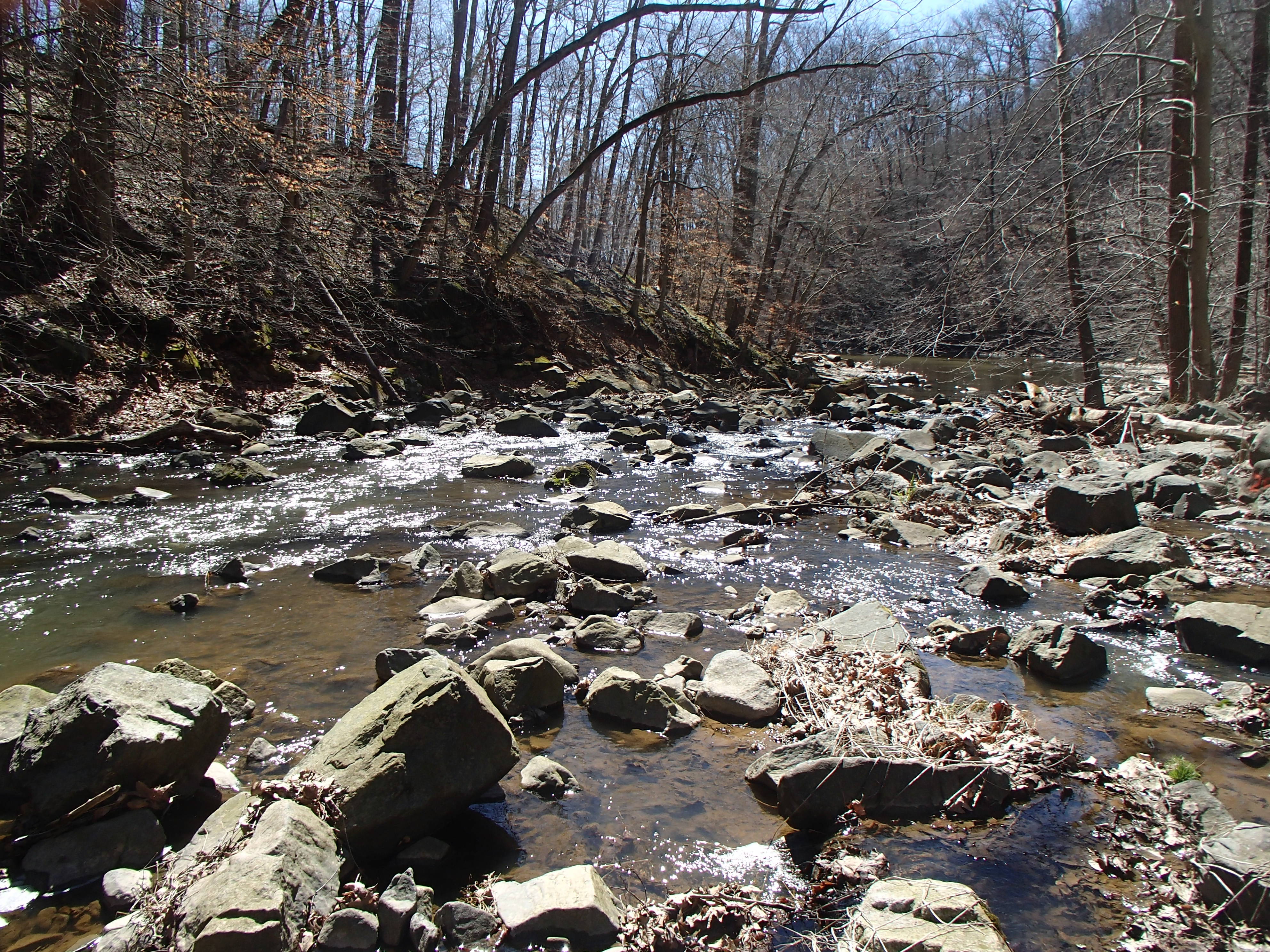 Field photo showing stream conditions at site CDAM-305-R-2017-RightBraidMidpointFacingDownstream