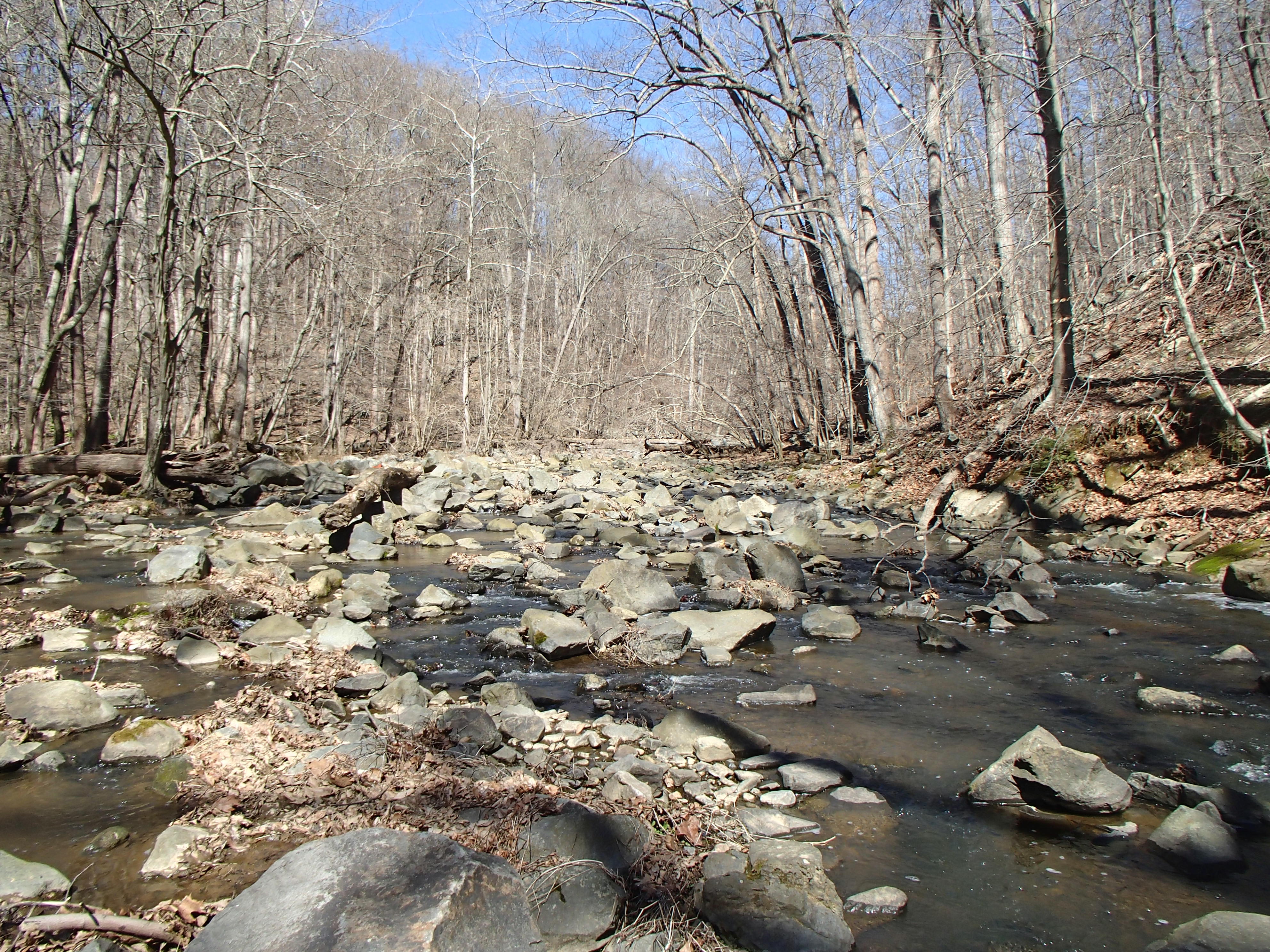 Field photo showing stream conditions at site CDAM-305-R-2017-RightBraidMidpointFacingUpstream