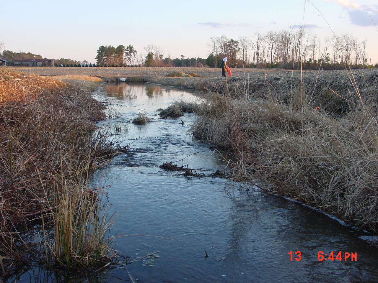 Field photo showing stream conditions at site CHIN-103-R-2001-1