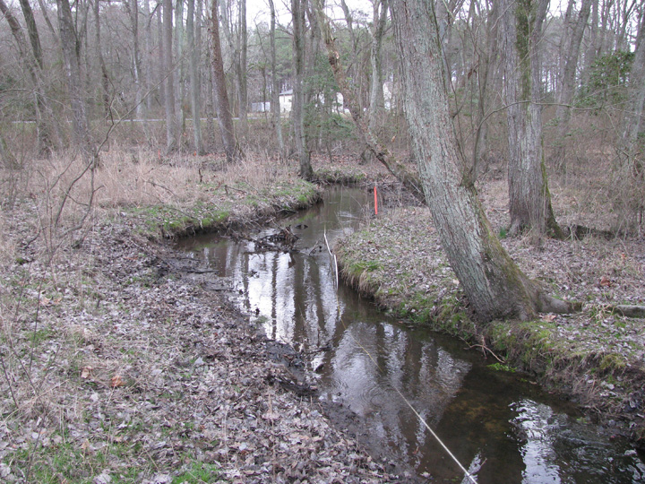 Field photo showing stream conditions at site CHIN-105-R-2009-1