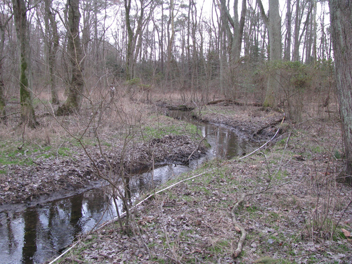Field photo showing stream conditions at site CHIN-105-R-2009-2