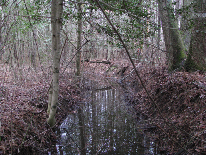 Field photo showing stream conditions at site CHIN-109-R-2009-1