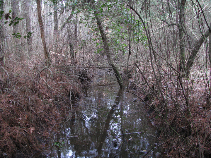 Field photo showing stream conditions at site CHIN-109-R-2009-2