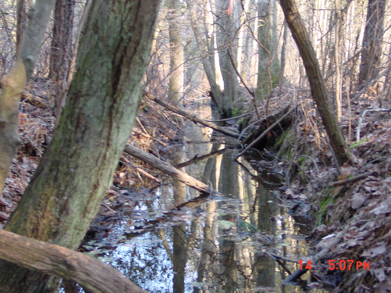 Field photo showing stream conditions at site CHIN-112-R-2001-1