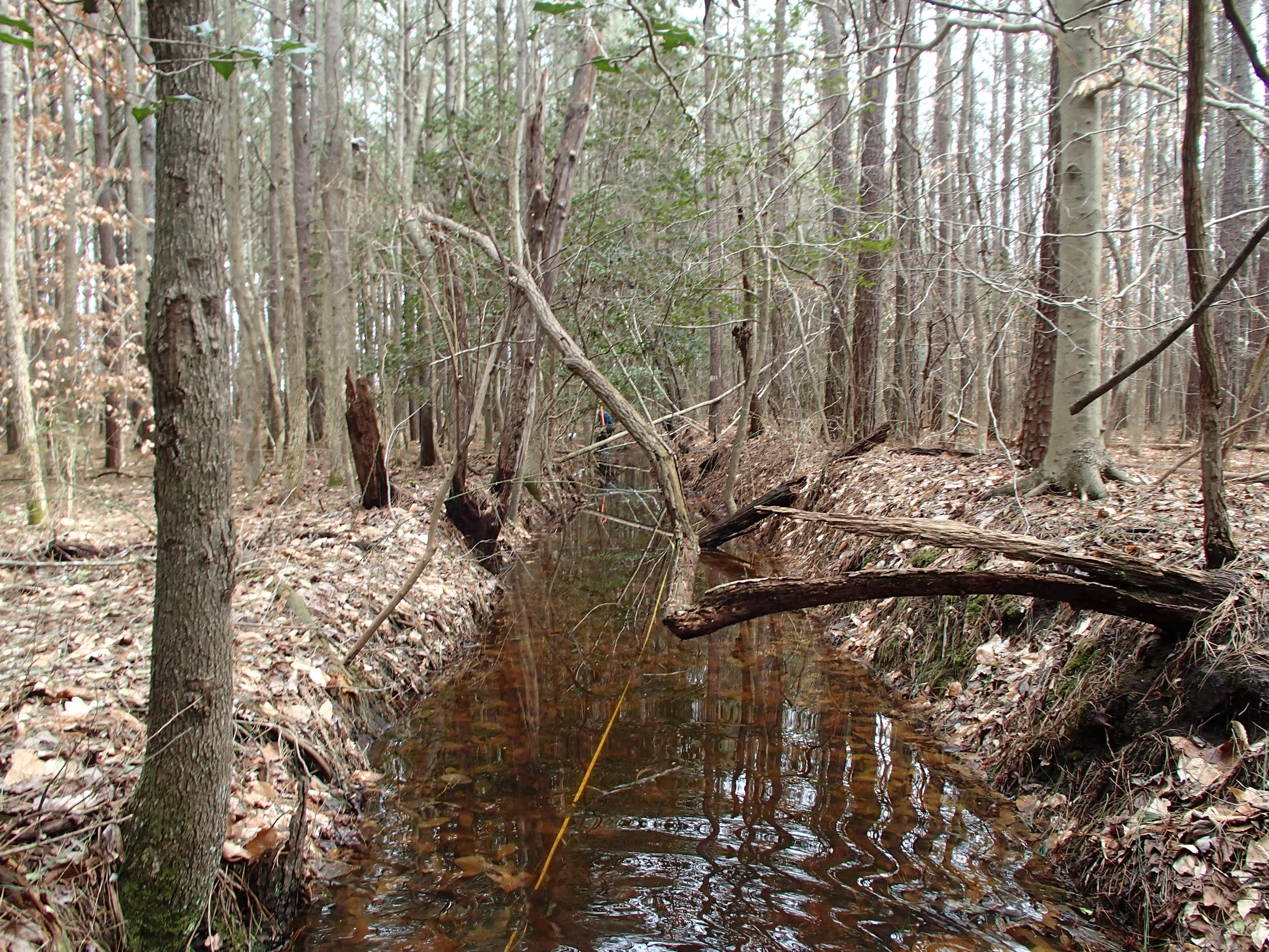 Field photo showing stream conditions at site CHIN-112-R-2015_Midpoint-looking-downstream