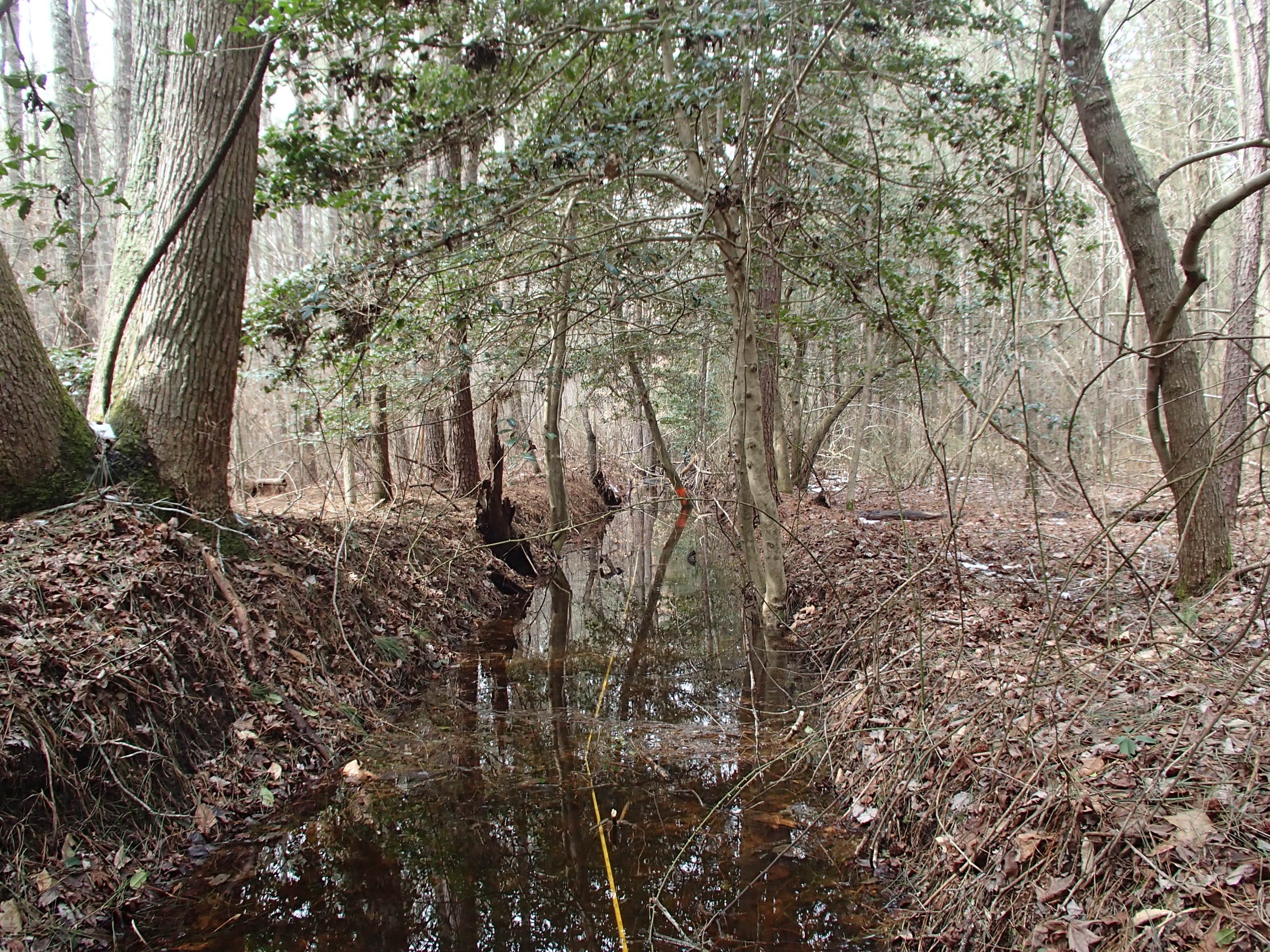 Field photo showing stream conditions at site CHIN-112-R-2015_Midpoint-looking-upstream