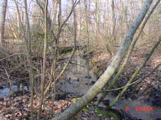 Field photo showing stream conditions at site CHIN-119-R-2001-1