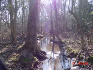 Field photo showing stream conditions at site CHIN-119-R-2001-2