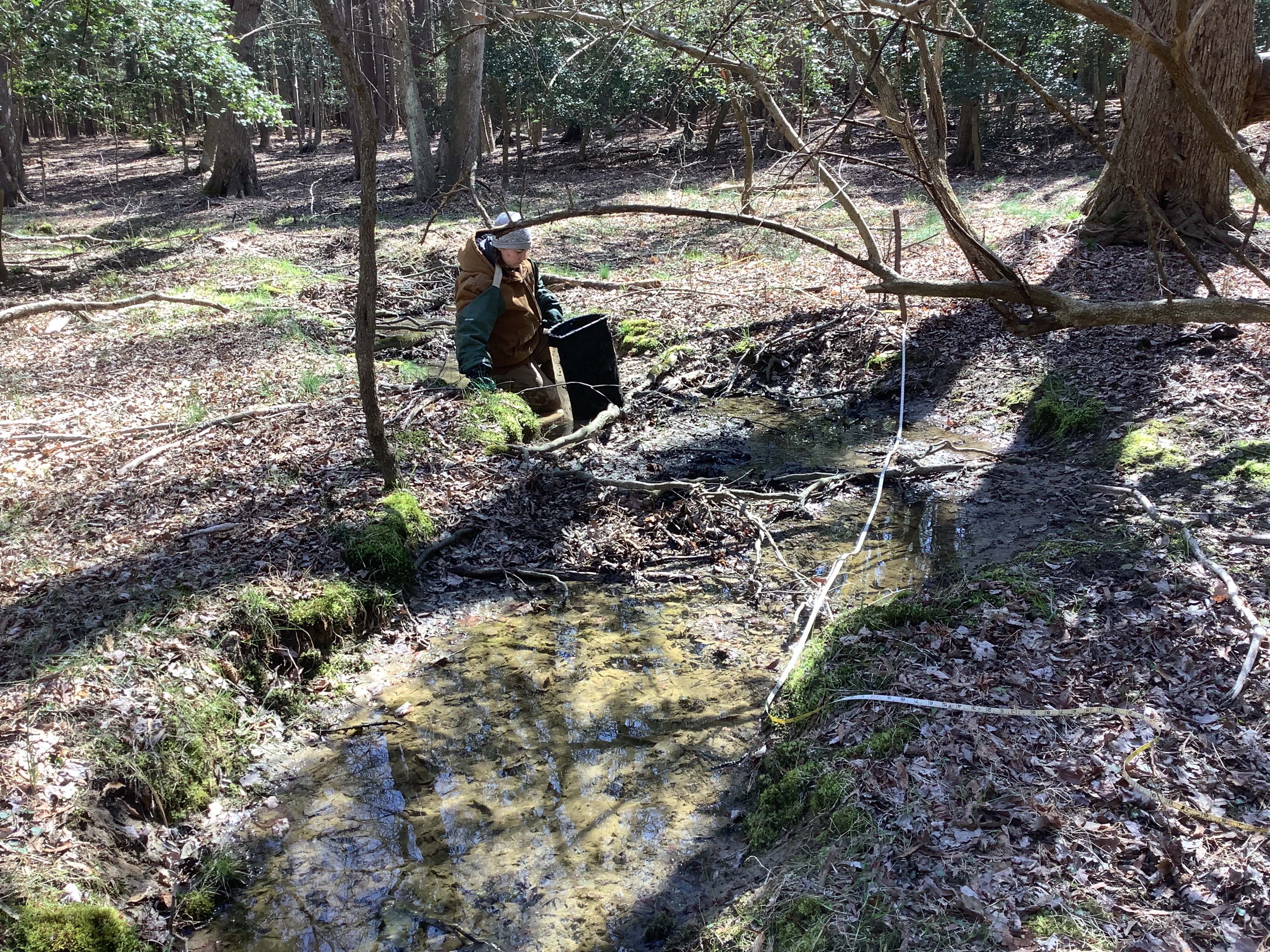 Field photo showing stream conditions at site CHIN-220-R-2023-MidpointLookingDownstream