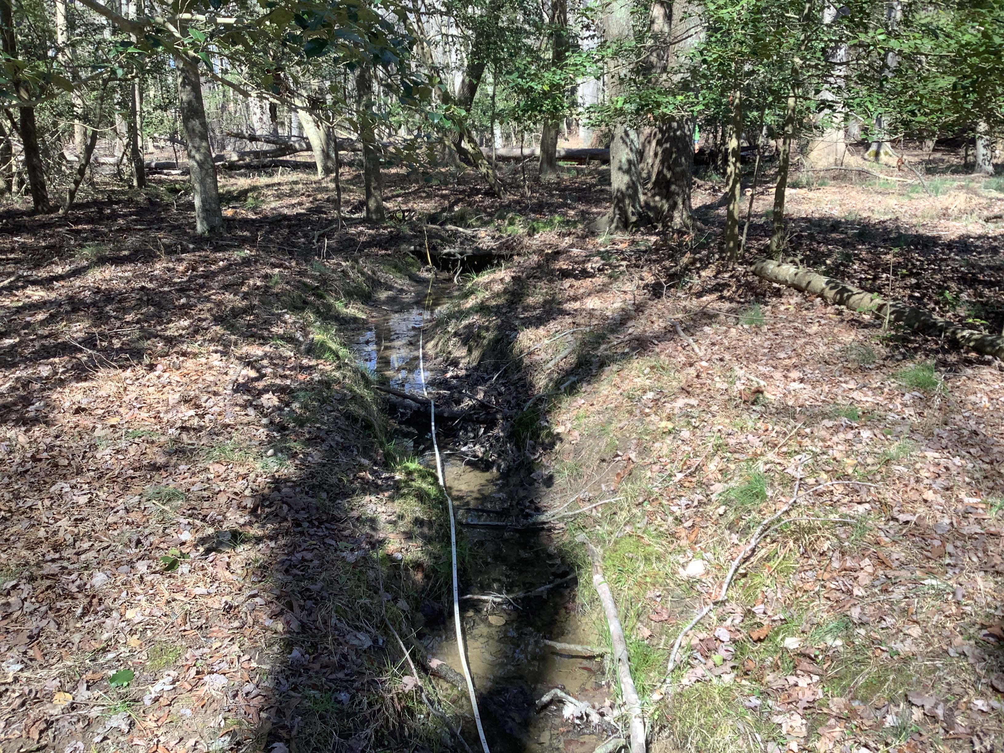 Field photo showing stream conditions at site CHIN-220-R-2023-MidpointLookingUpstream