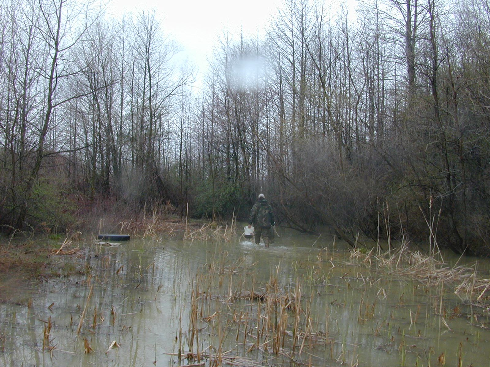 Field photo showing stream conditions at site CHRI-104-R-2003-0996