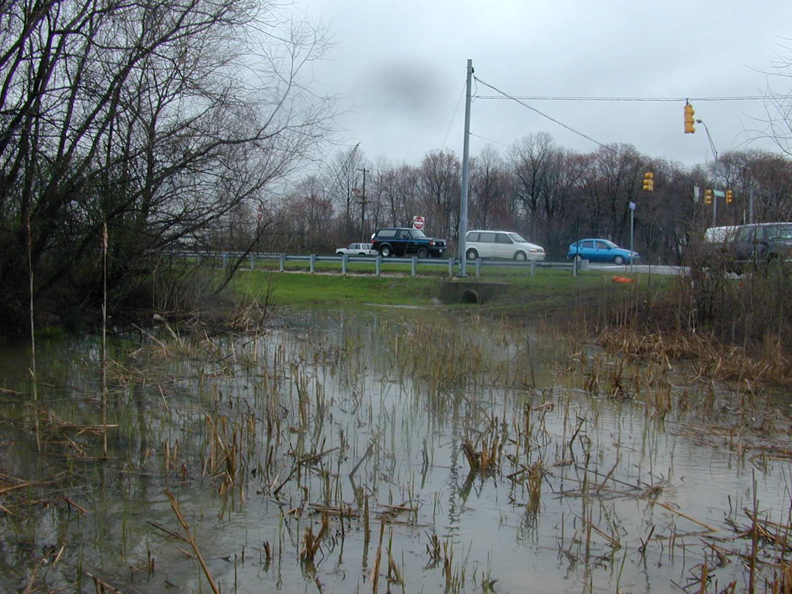 Field photo showing stream conditions at site CHRI-104-R-2003-0997