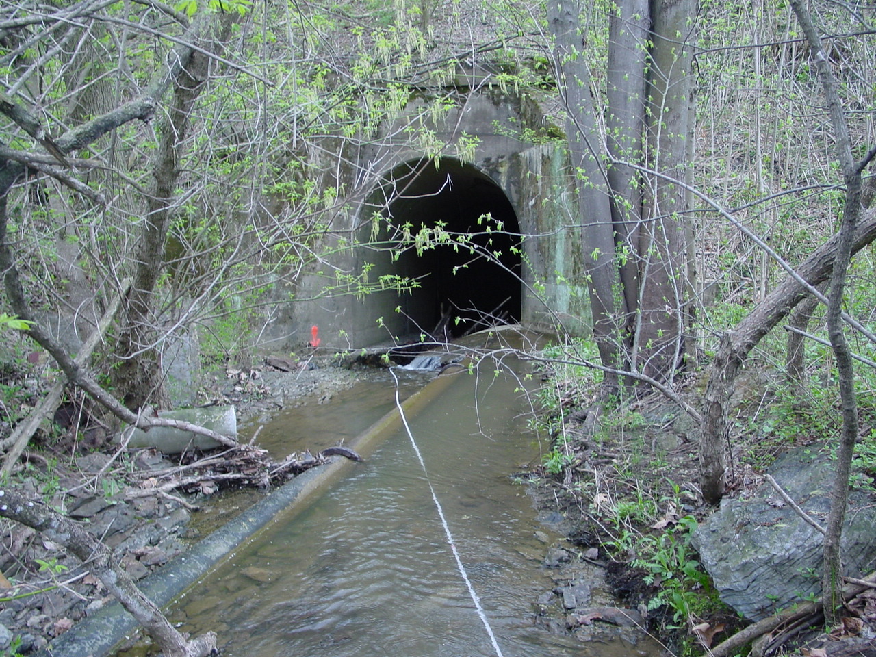 Field photo showing stream conditions at site COCA-101-N-2003-1