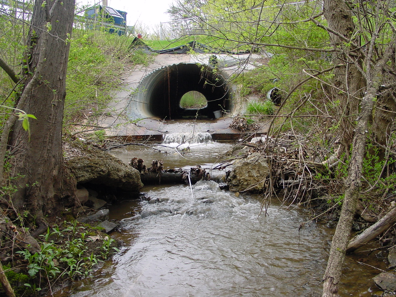 Field photo showing stream conditions at site COCA-101-N-2003-2