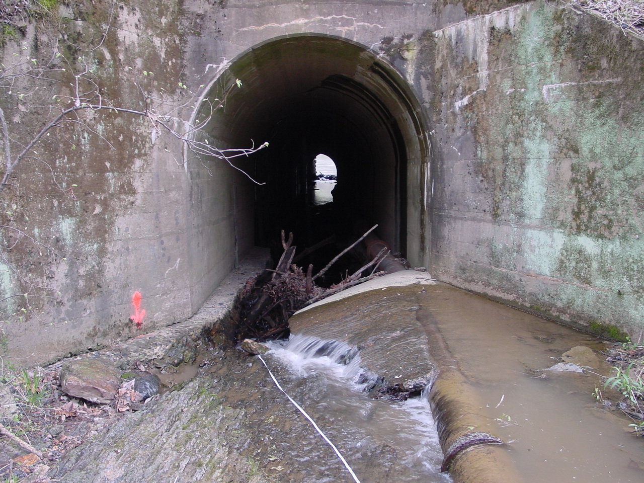 Field photo showing stream conditions at site COCA-101-N-2003-3