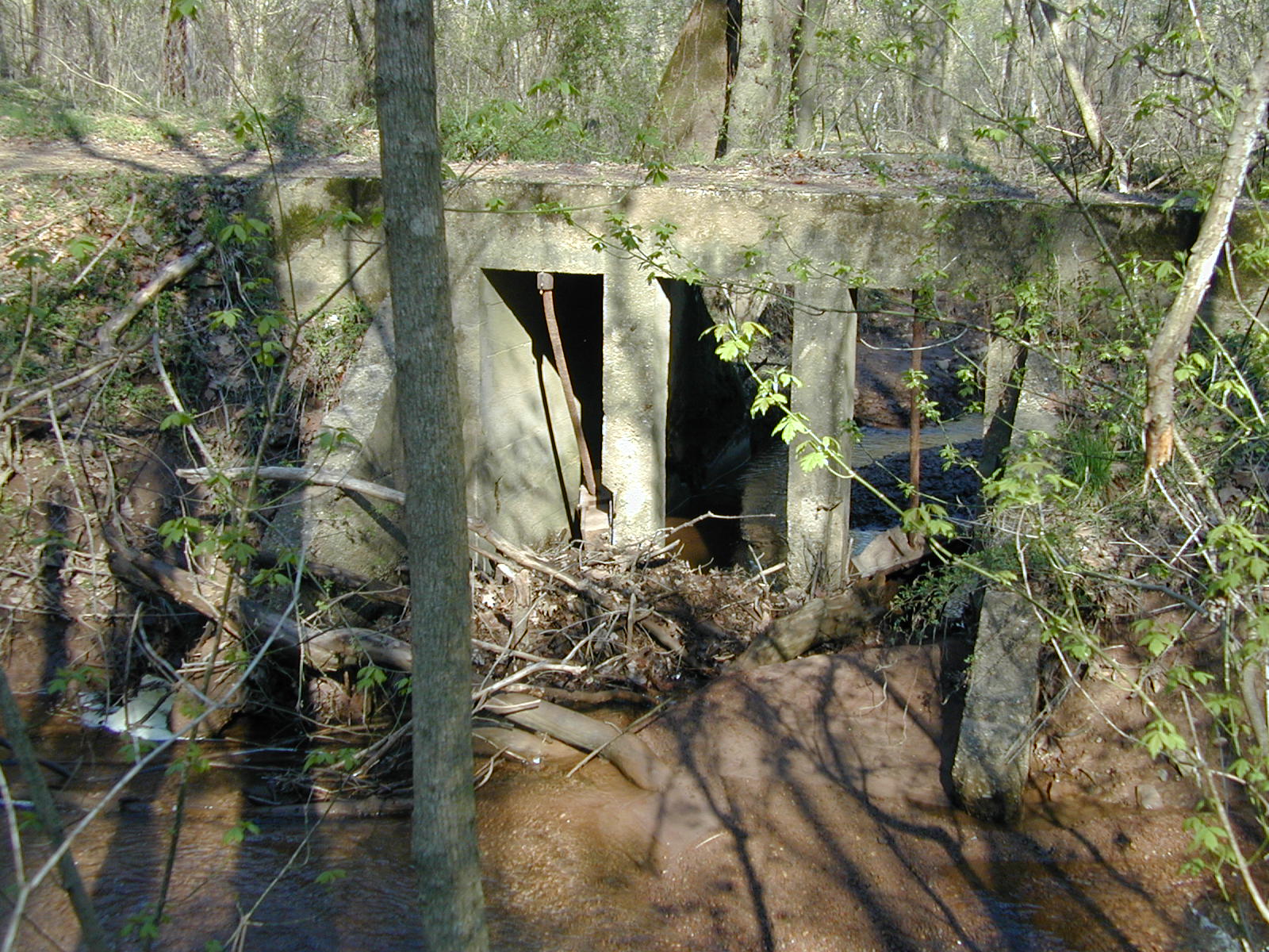 Field photo showing stream conditions at site COCA-102-N-2003-807