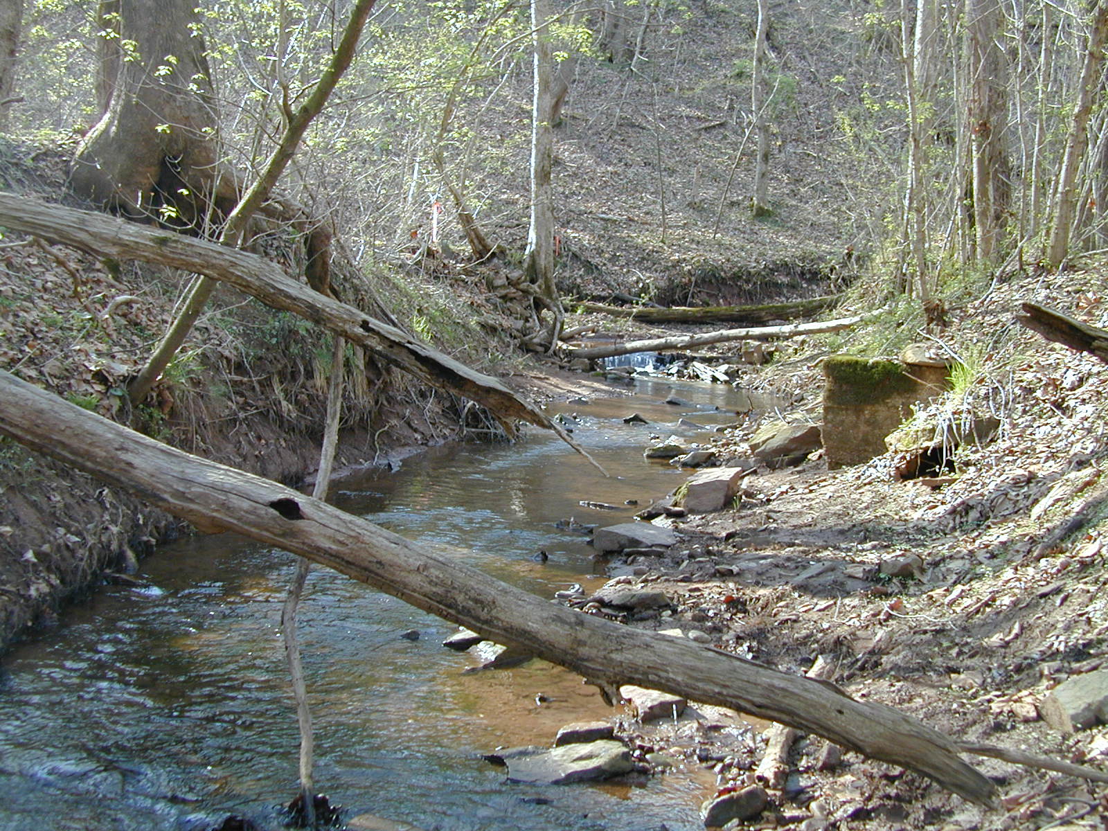 Field photo showing stream conditions at site COCA-102-N-2003-808