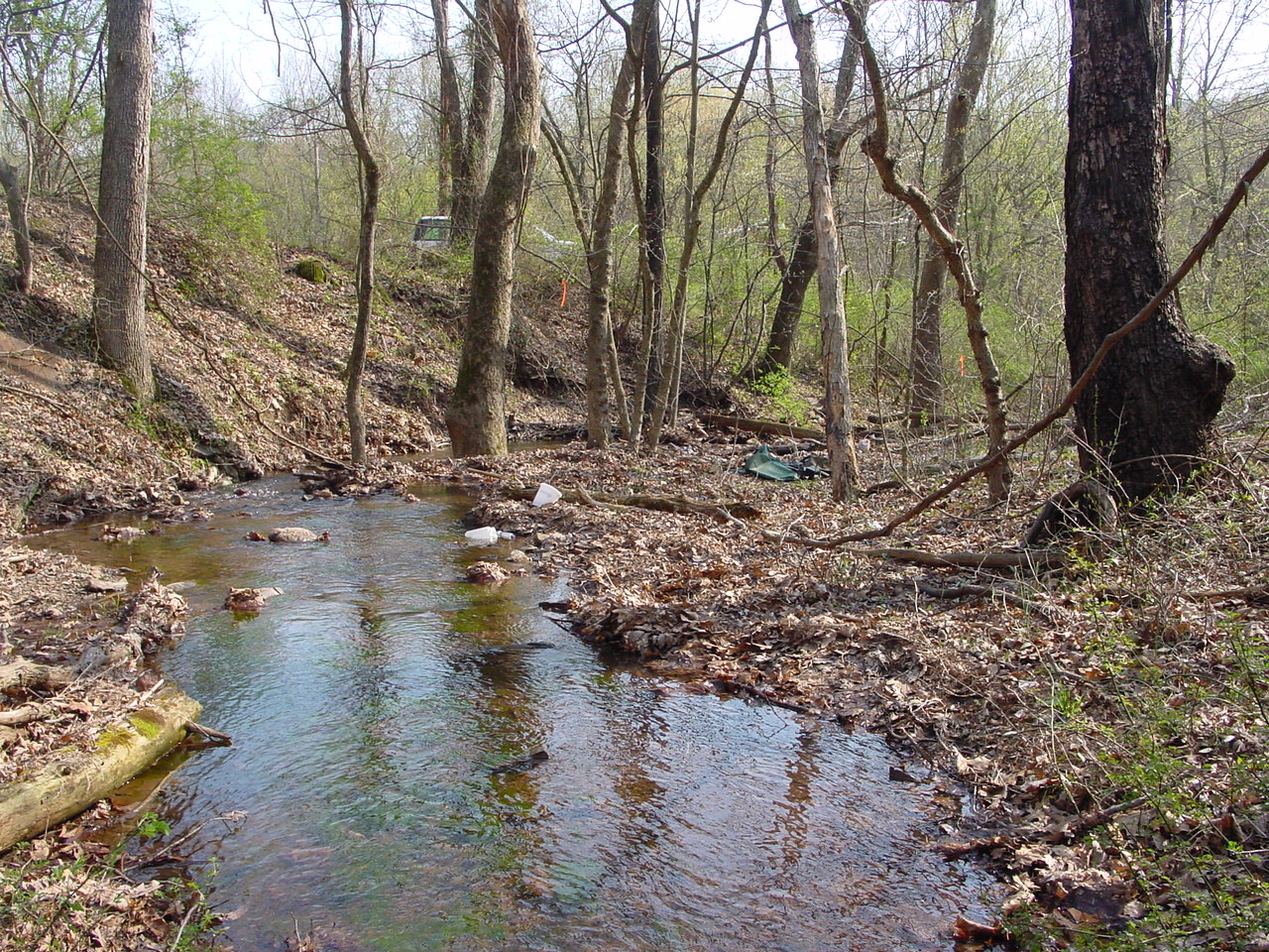 Field photo showing stream conditions at site COCA-104-N-2003-3