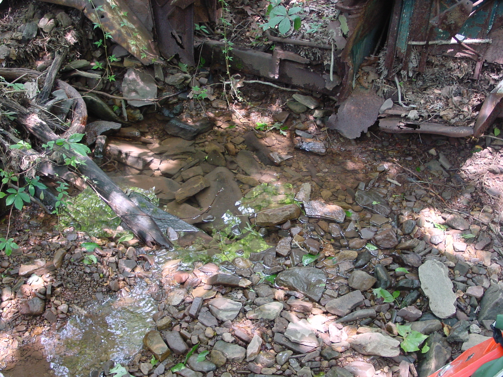 Field photo showing stream conditions at site COCA-104-N-2003-5