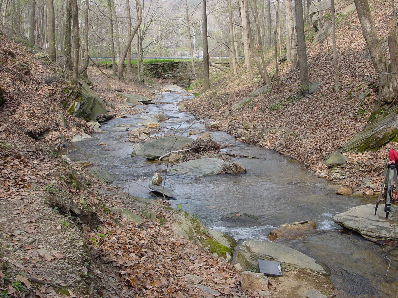Field photo showing stream conditions at site COCA-105-N-2003-1