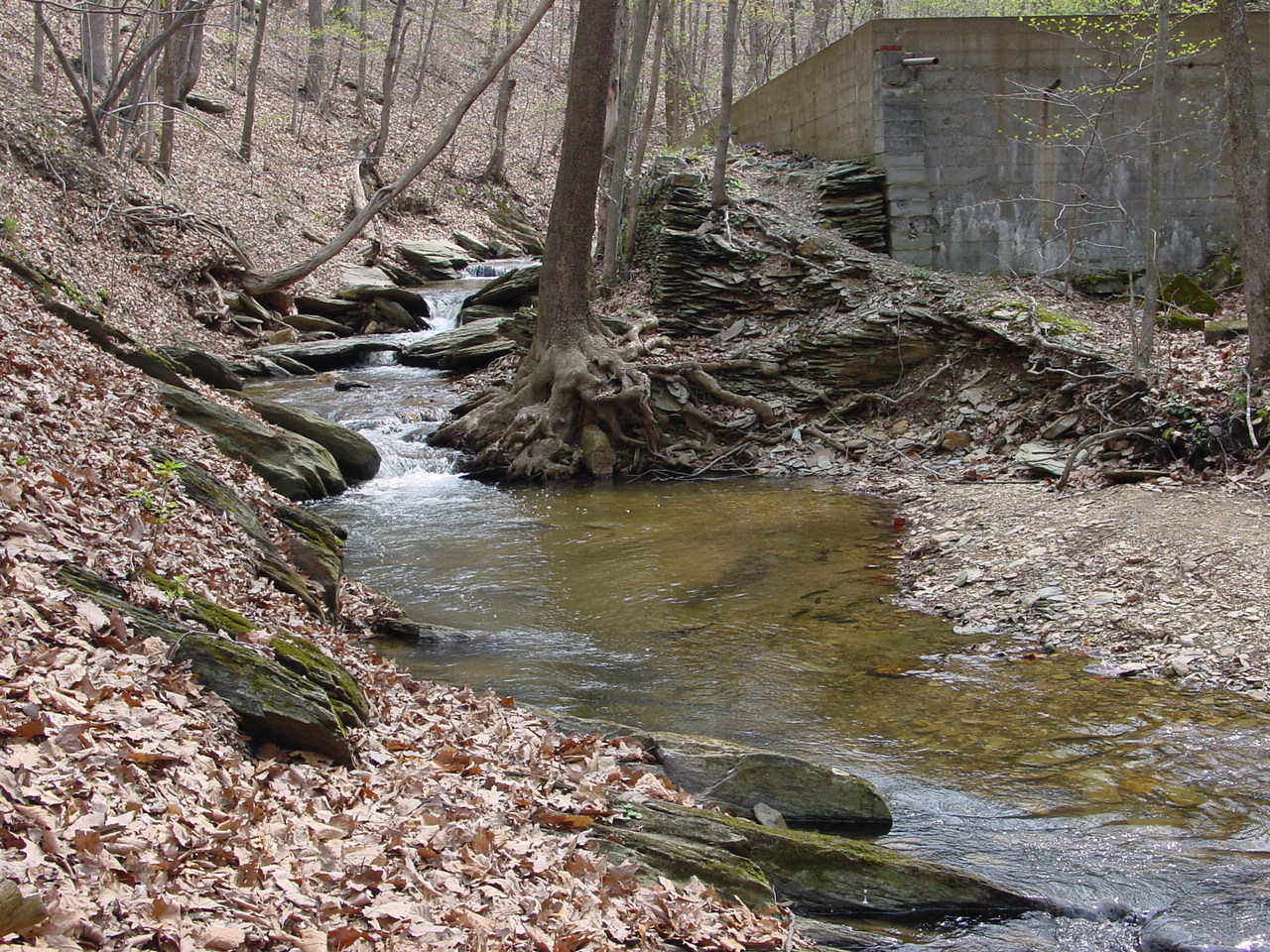 Field photo showing stream conditions at site COCA-105-N-2003-2