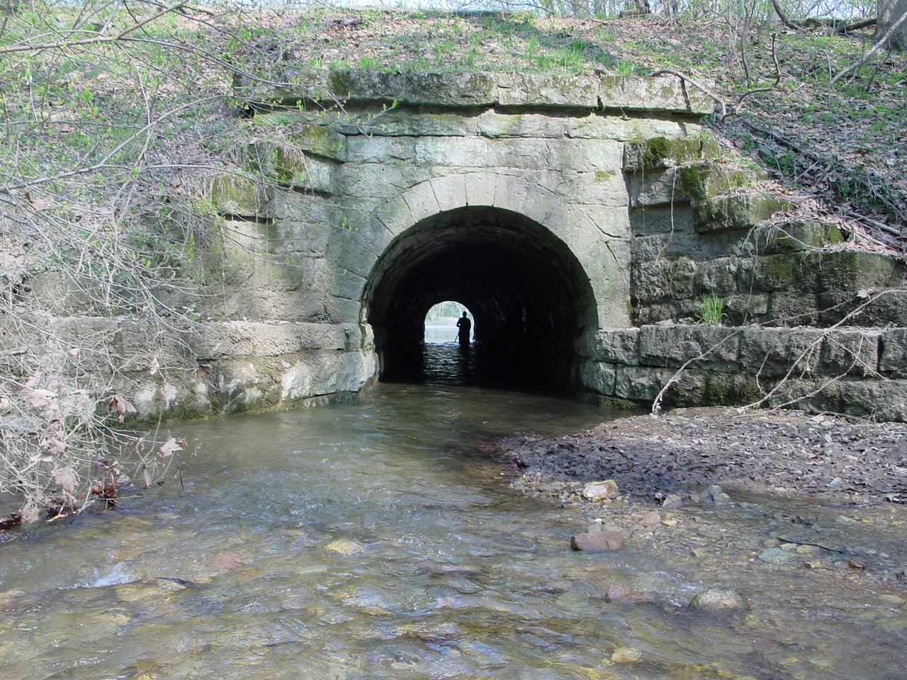 Field photo showing stream conditions at site COCA-106-N-2003-1
