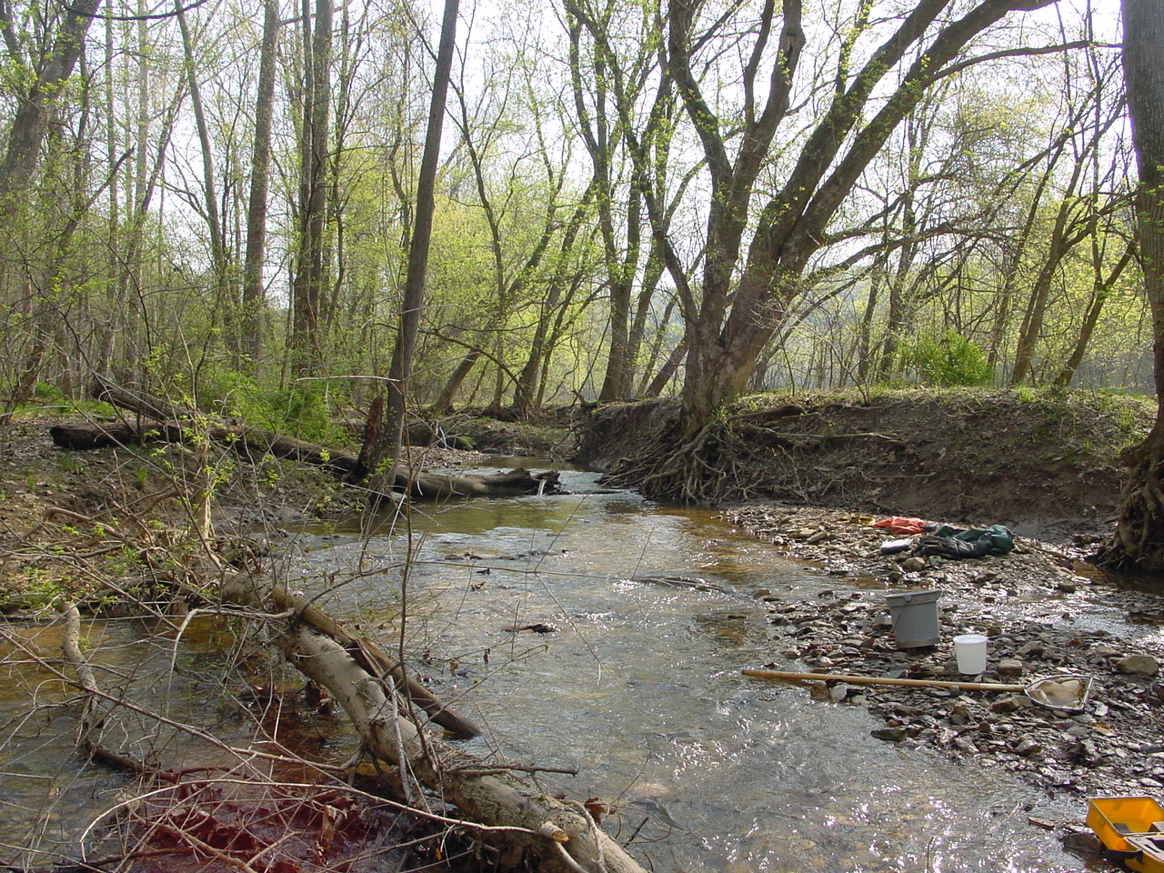 Field photo showing stream conditions at site COCA-106-N-2003-2