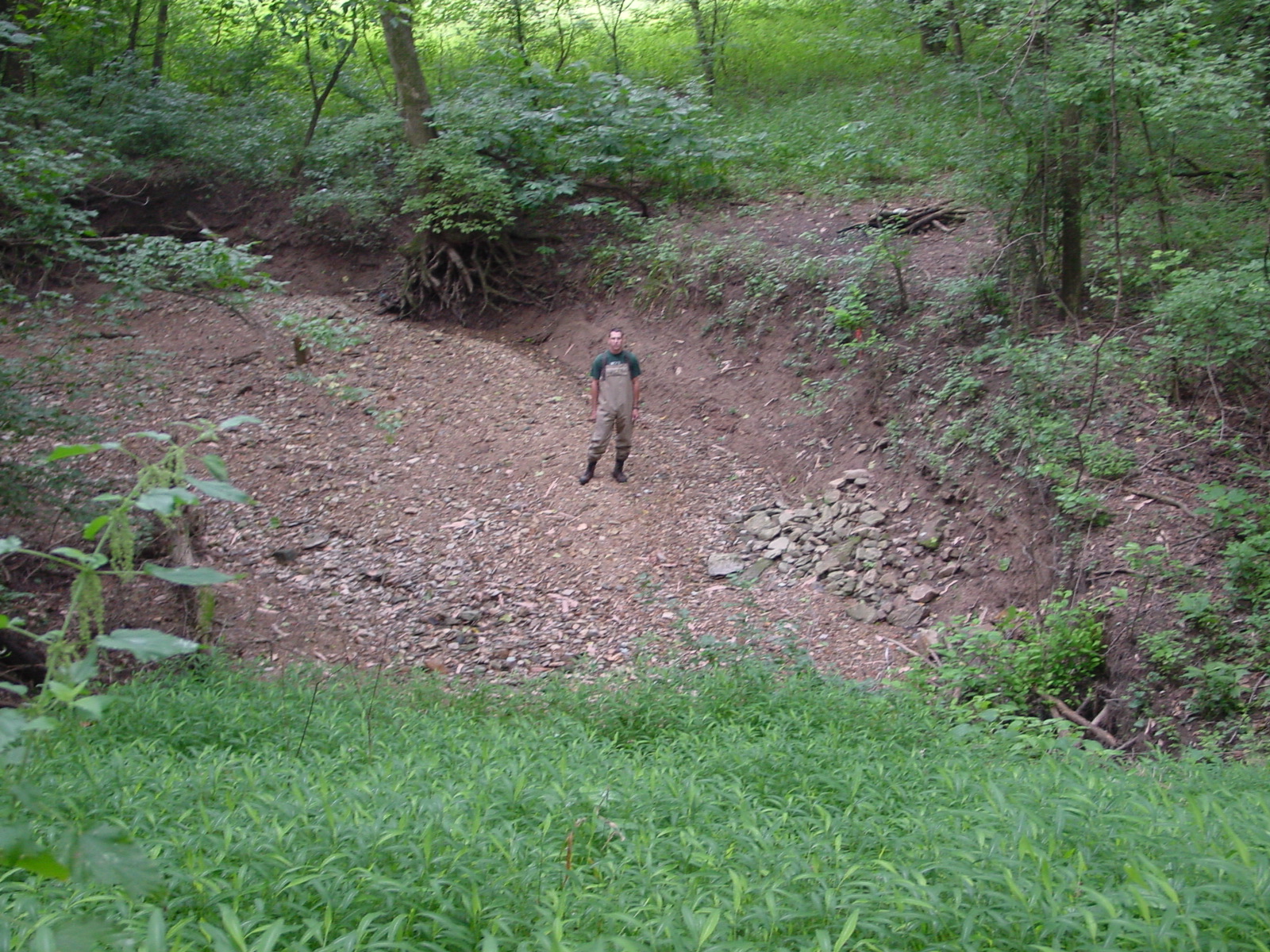 Field photo showing stream conditions at site COCA-106-N-2003-3