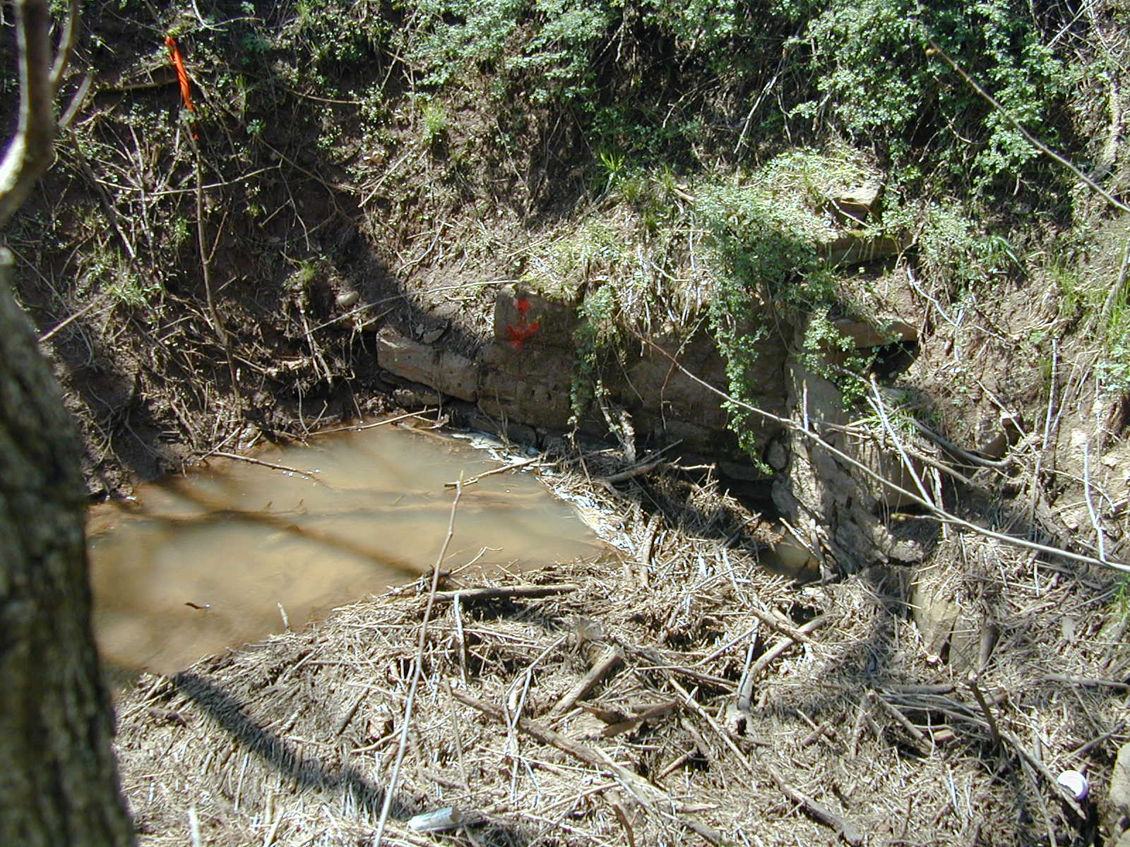 Field photo showing stream conditions at site COCA-108-N-2003-813