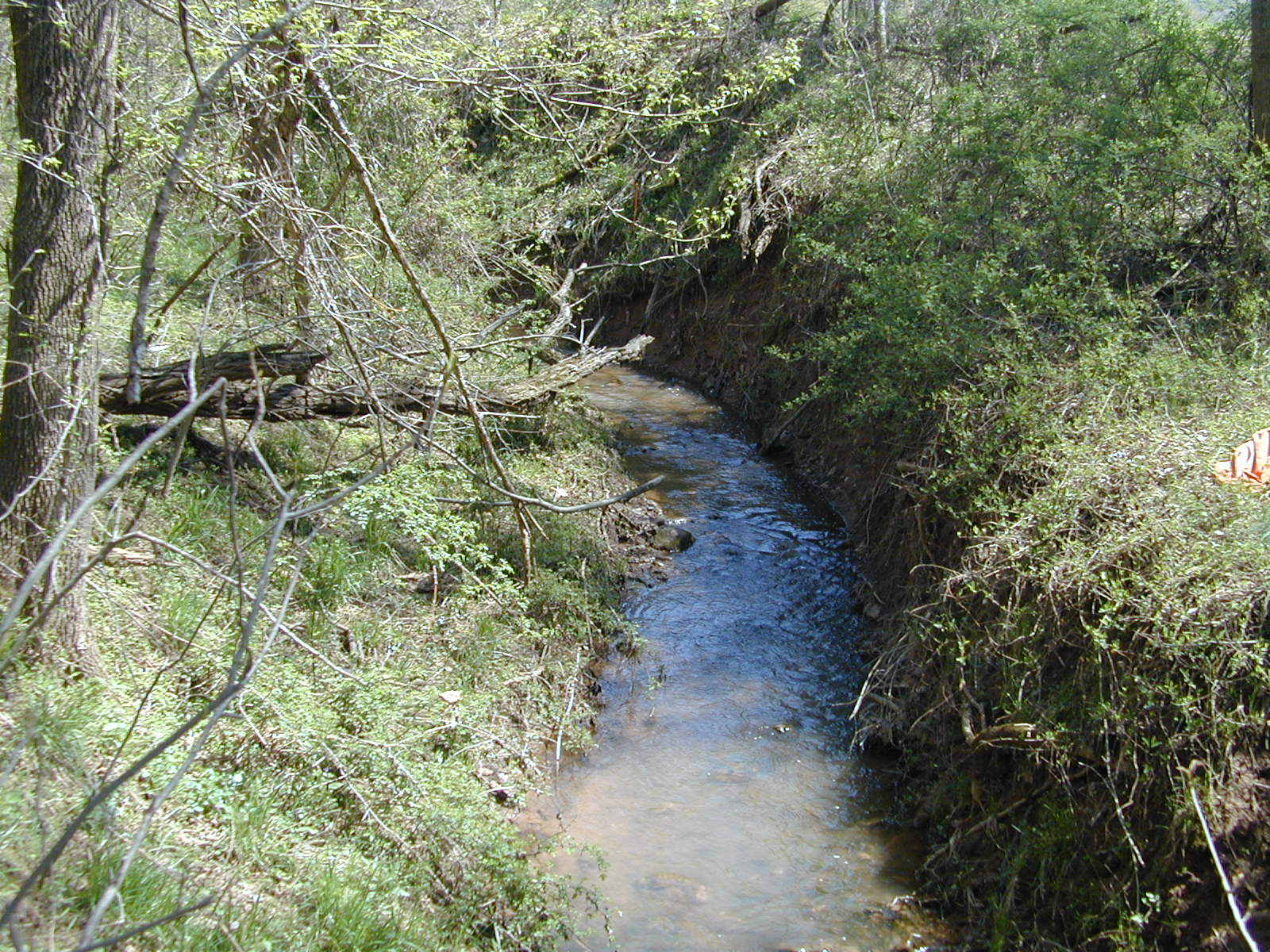 Field photo showing stream conditions at site COCA-108-N-2003-814