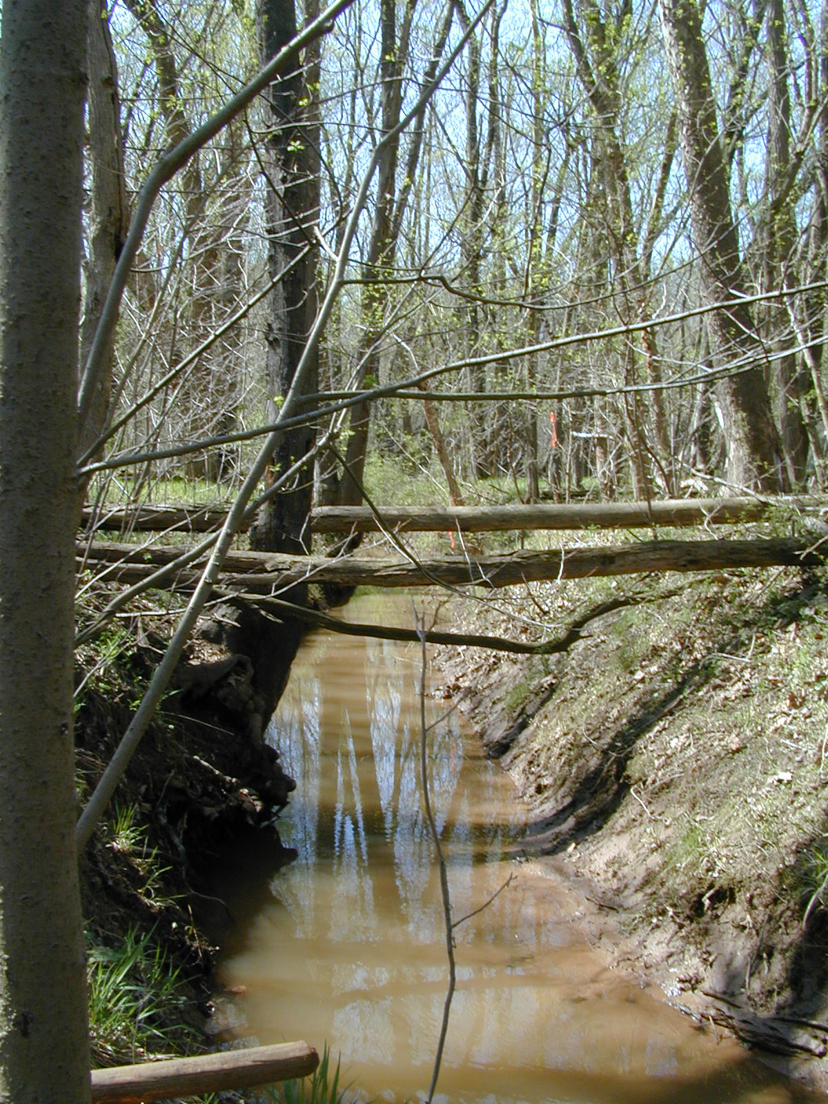 Field photo showing stream conditions at site COCA-109-N-2003-811