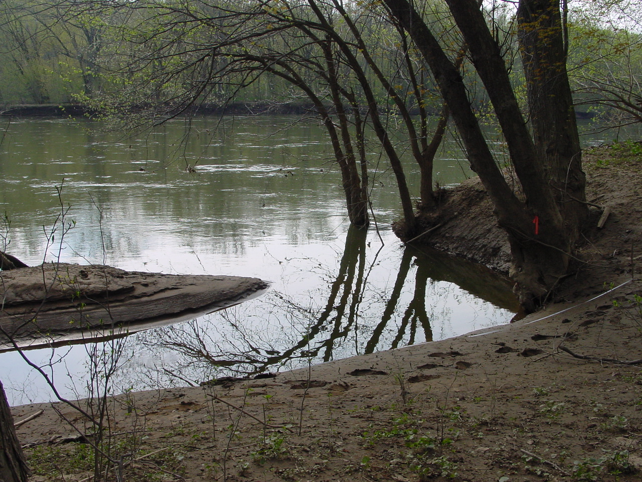 Field photo showing stream conditions at site COCA-110-N-2003-1