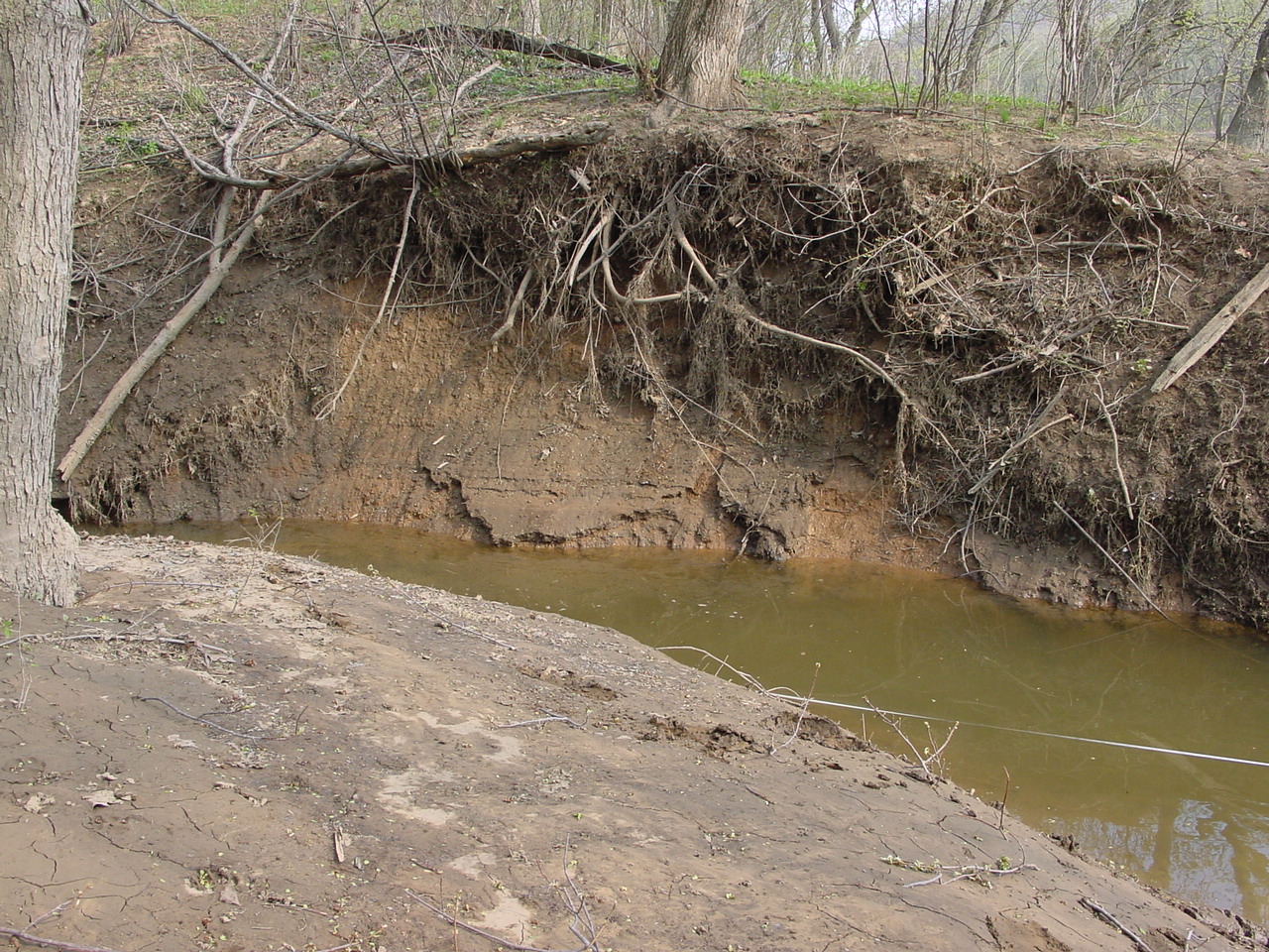 Field photo showing stream conditions at site COCA-110-N-2003-2