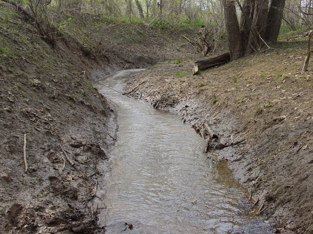 Field photo showing stream conditions at site COCA-110-N-2003-3