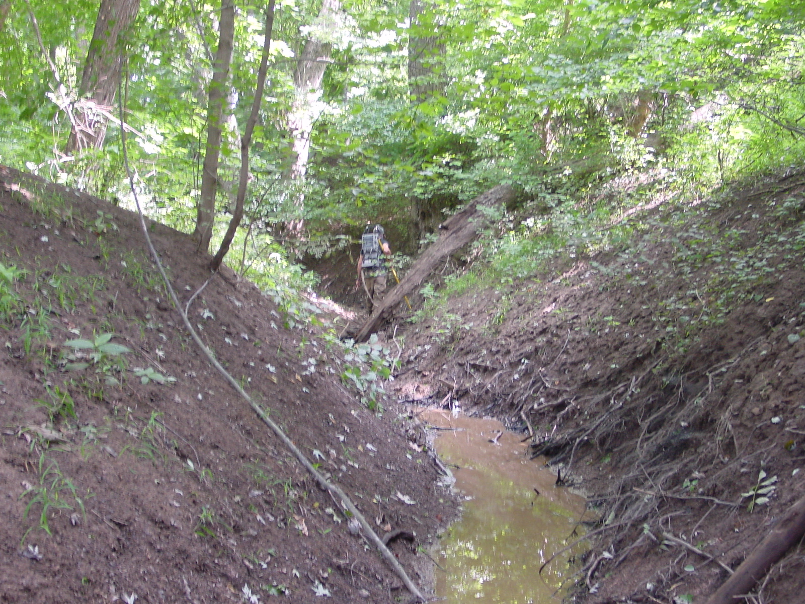 Field photo showing stream conditions at site COCA-110-N-2003-4