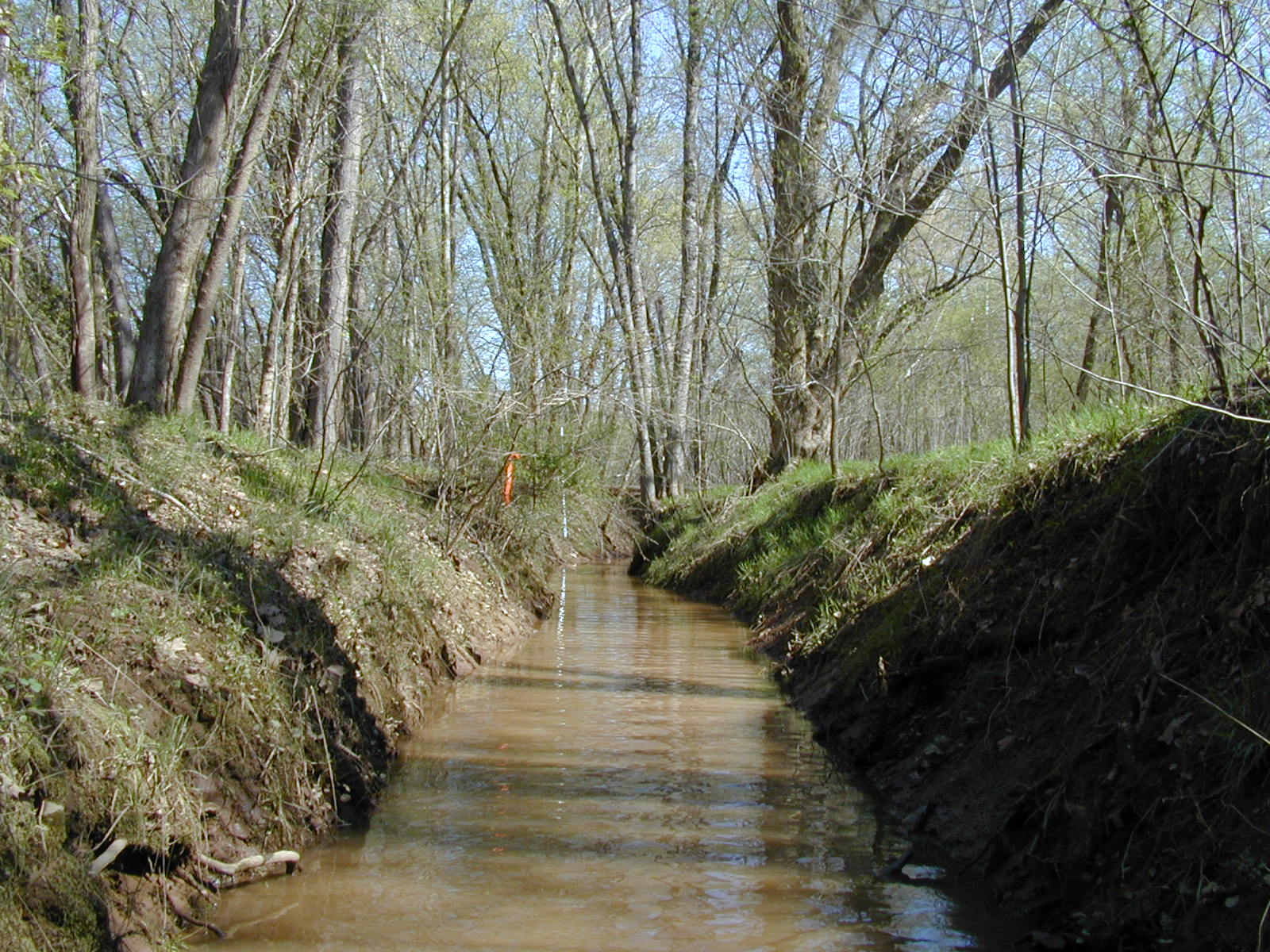 Field photo showing stream conditions at site COCA-111-N-2003-809