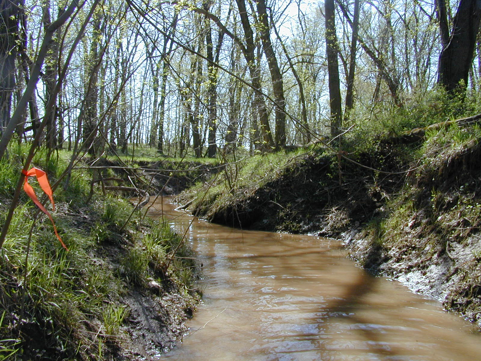 Field photo showing stream conditions at site COCA-111-N-2003-810