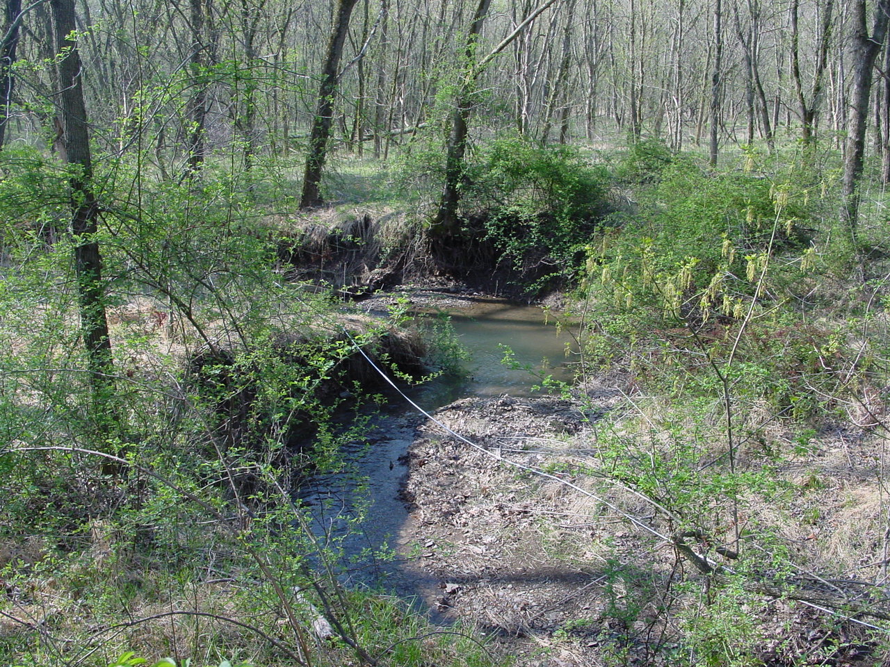 Field photo showing stream conditions at site COCA-112-N-2003-1