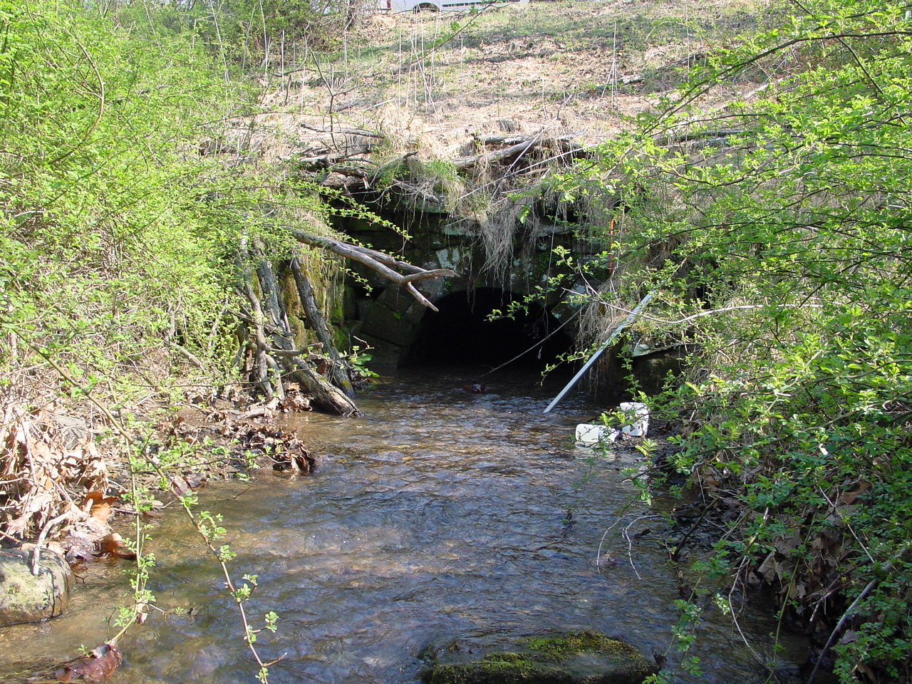 Field photo showing stream conditions at site COCA-112-N-2003-2