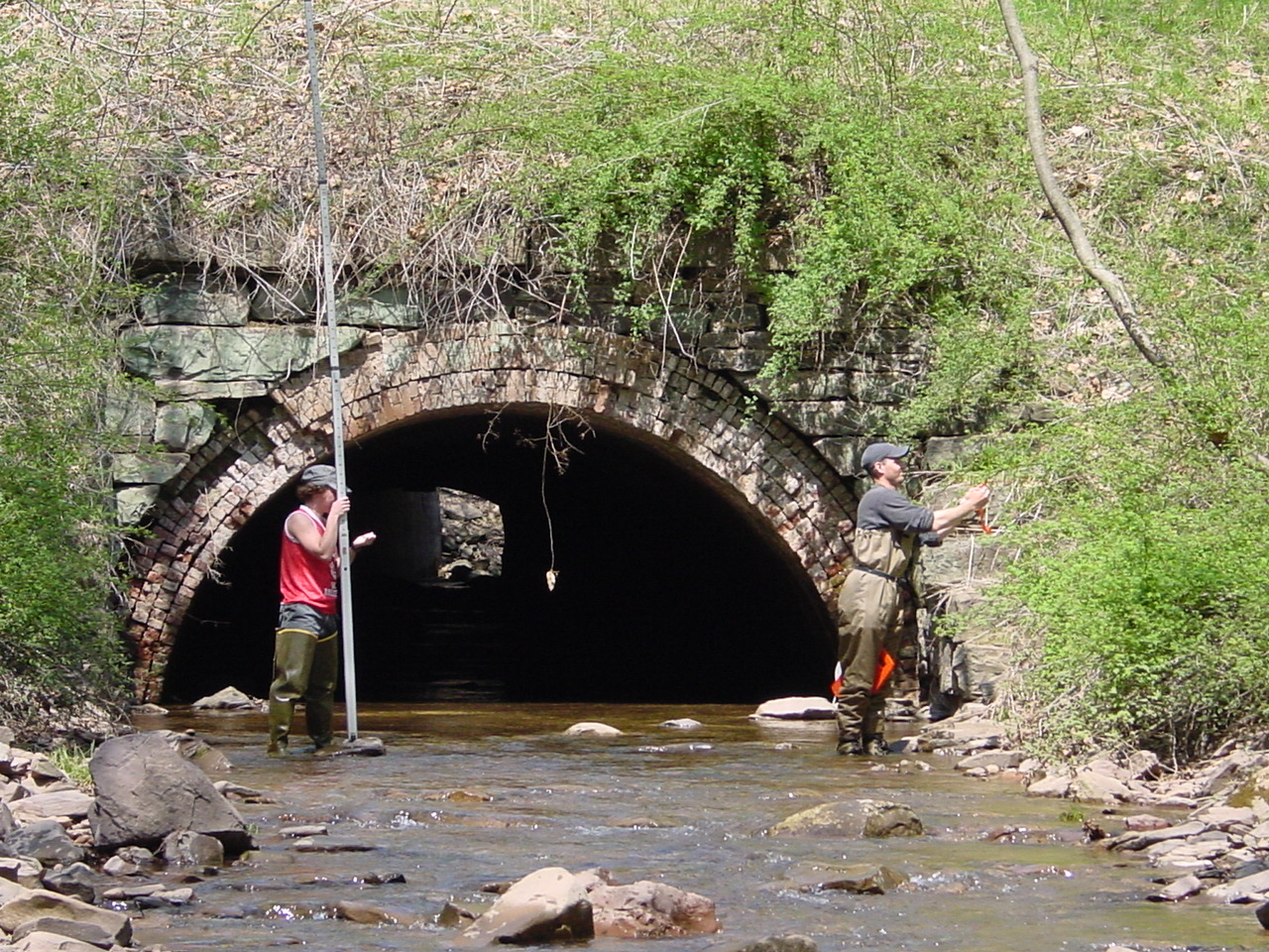 Field photo showing stream conditions at site COCA-113-N-2003-1